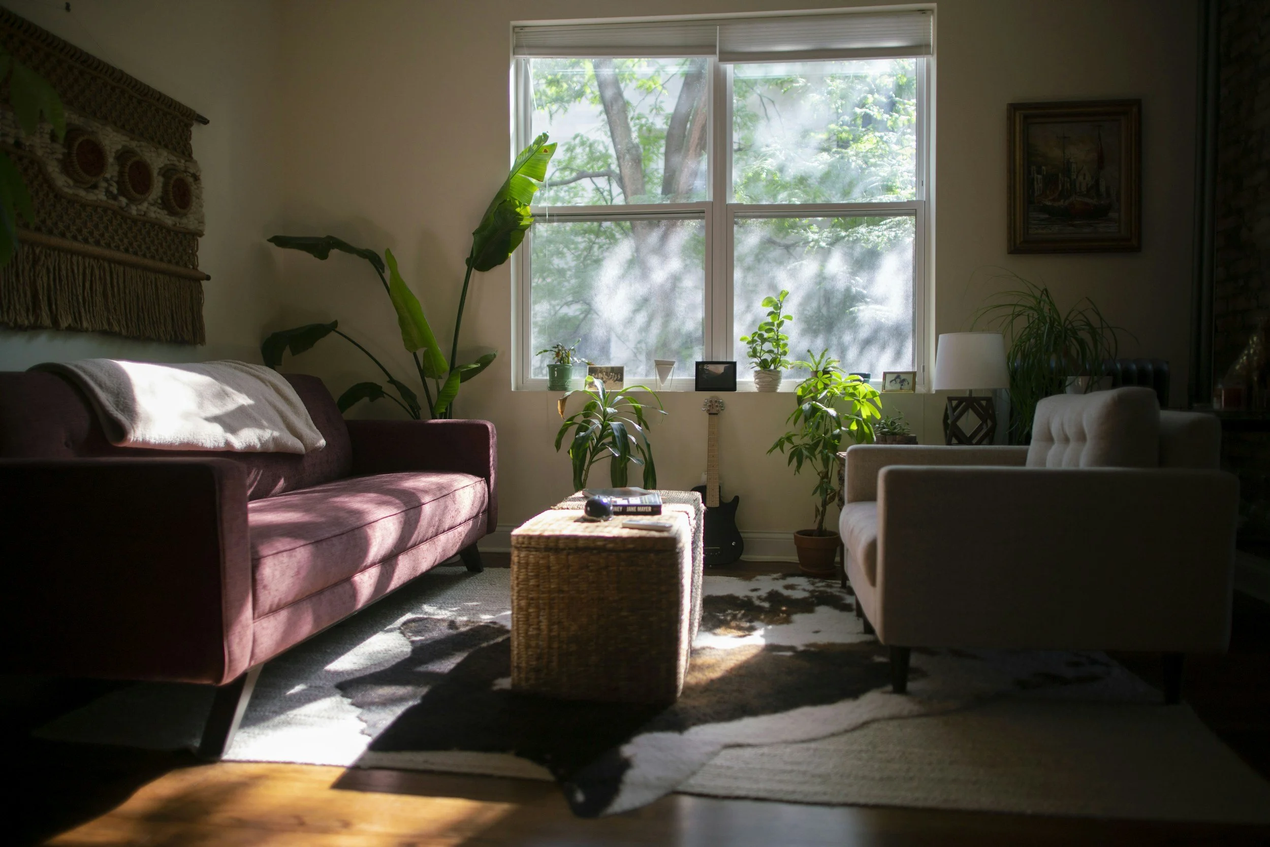 Cozy living room with large window displaying lush greenery outside, decorated with plants, framed art, and furniture including a pink velvet sofa, beige armchair, woven ottoman, and a cowhide rug.