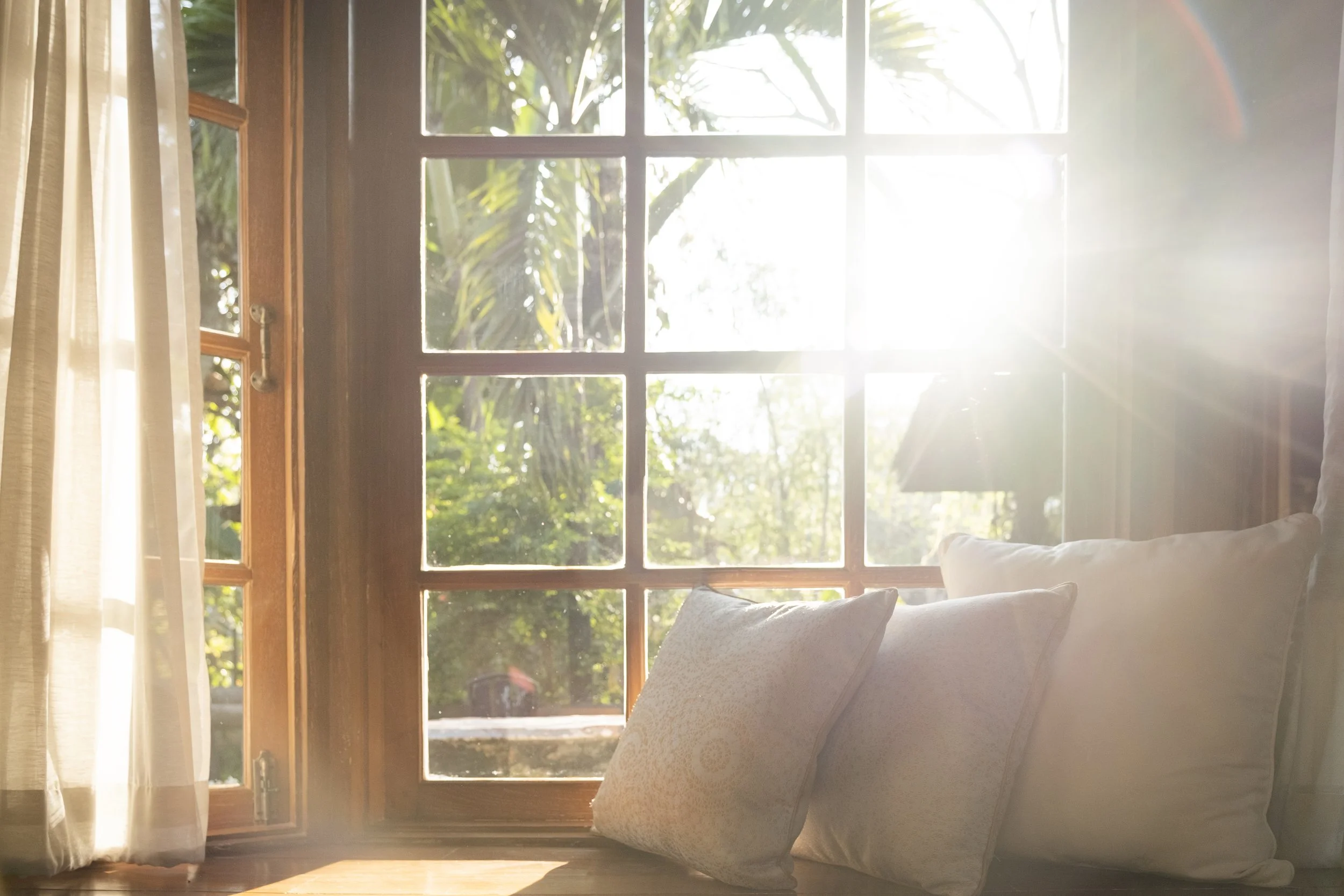 Sunlight streams through a wooden-framed window, illuminating a cozy interior with cream-colored curtains on the left and pillows on a bed or bench on the right, with lush green trees visible outside.