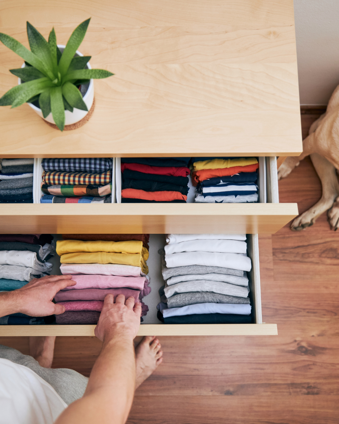 Overhead view of an open dresser drawer containing neatly folded clothes in various colors, with a person organizing them and a potted plant on a wooden table.