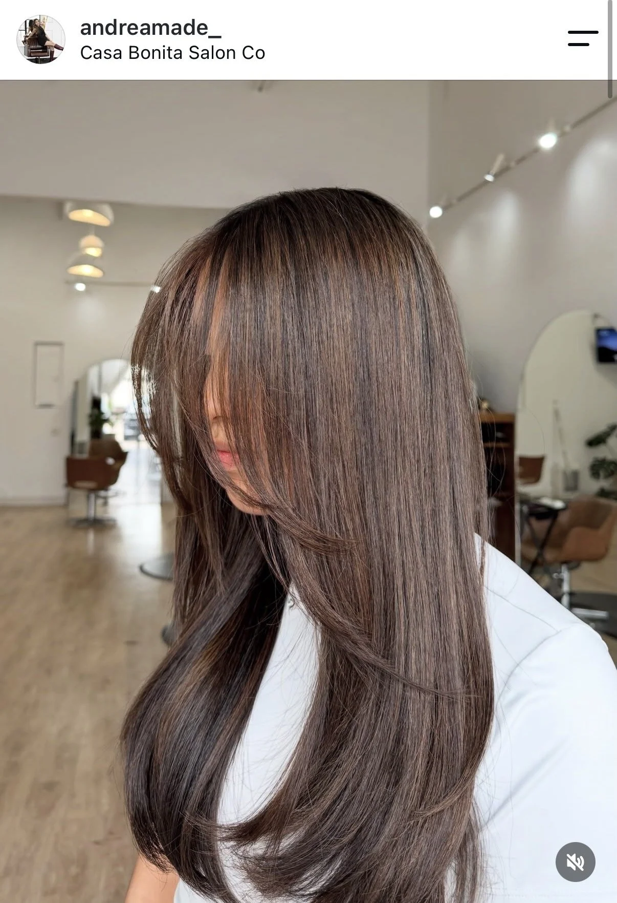 Woman with long, shiny, layered brown hair, inside a modern salon.