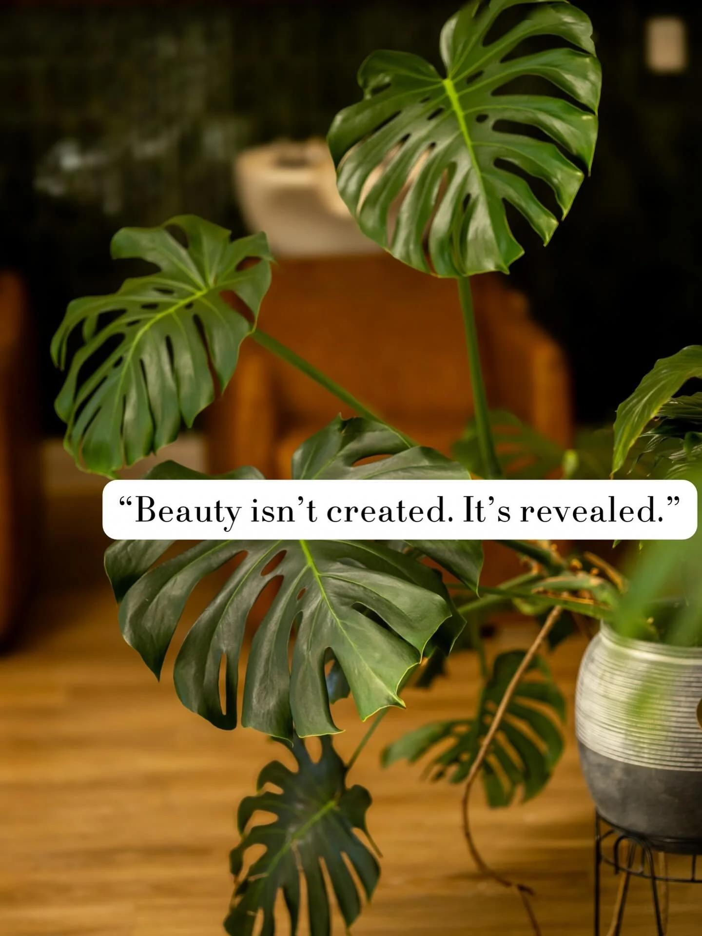At Casa Bonita Salon, we&rsquo;re here to bring out that quiet confidence and natural glow 🤍🖤

Warm light, soft moments, and effortless beauty ✨🌿

CasaBonitaSalon #ArlingtonTXSalon #ArlingtonTXBeauty #DFWBeauty #DFWSalon