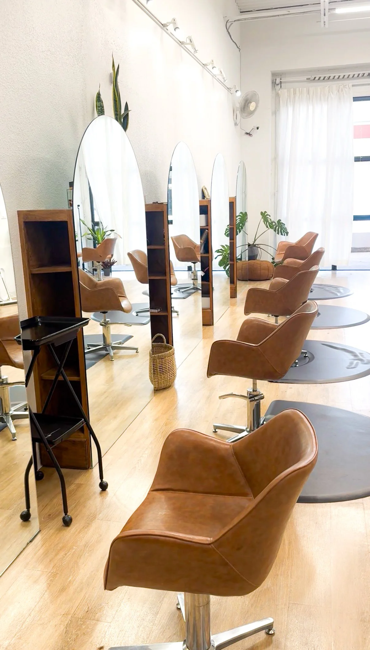 A row of salon styling chairs with large curved mirrors on the wall, potted plants, and a curtain at the window.