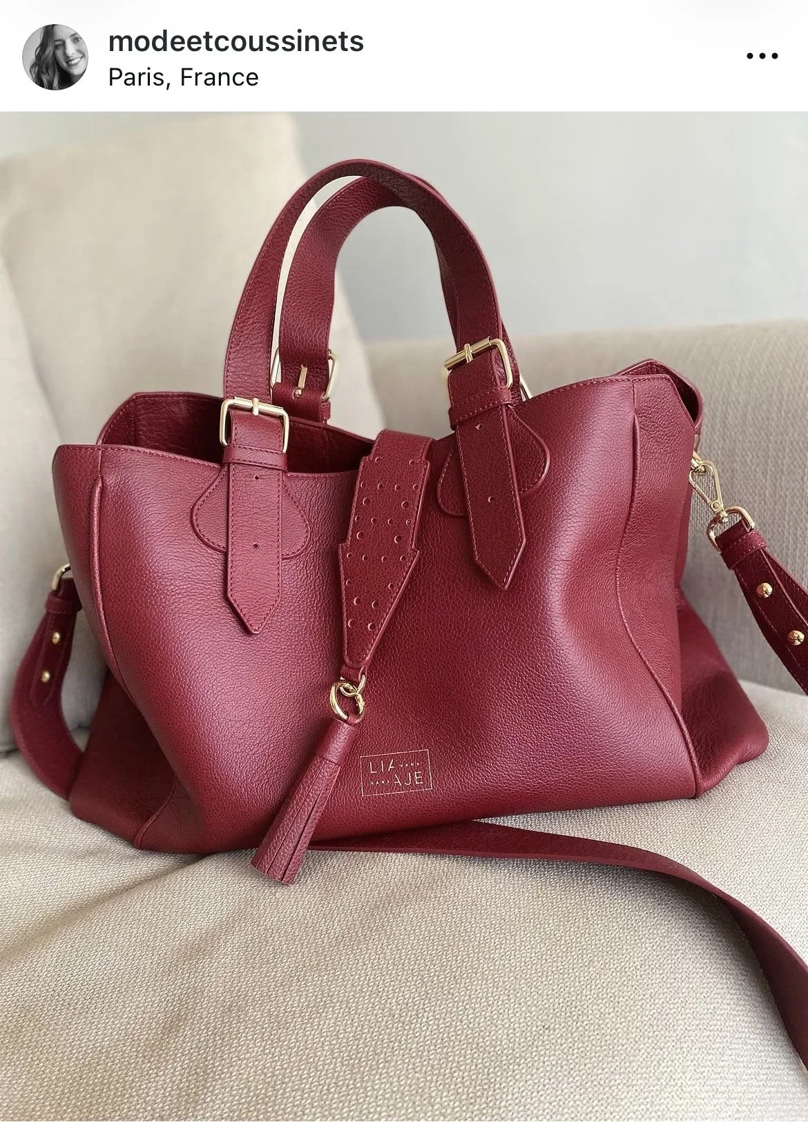 Sac à main en cuir rouge avec poignées et bandoulière en or, posé sur un canapé beige, photo prise à Paris, France.