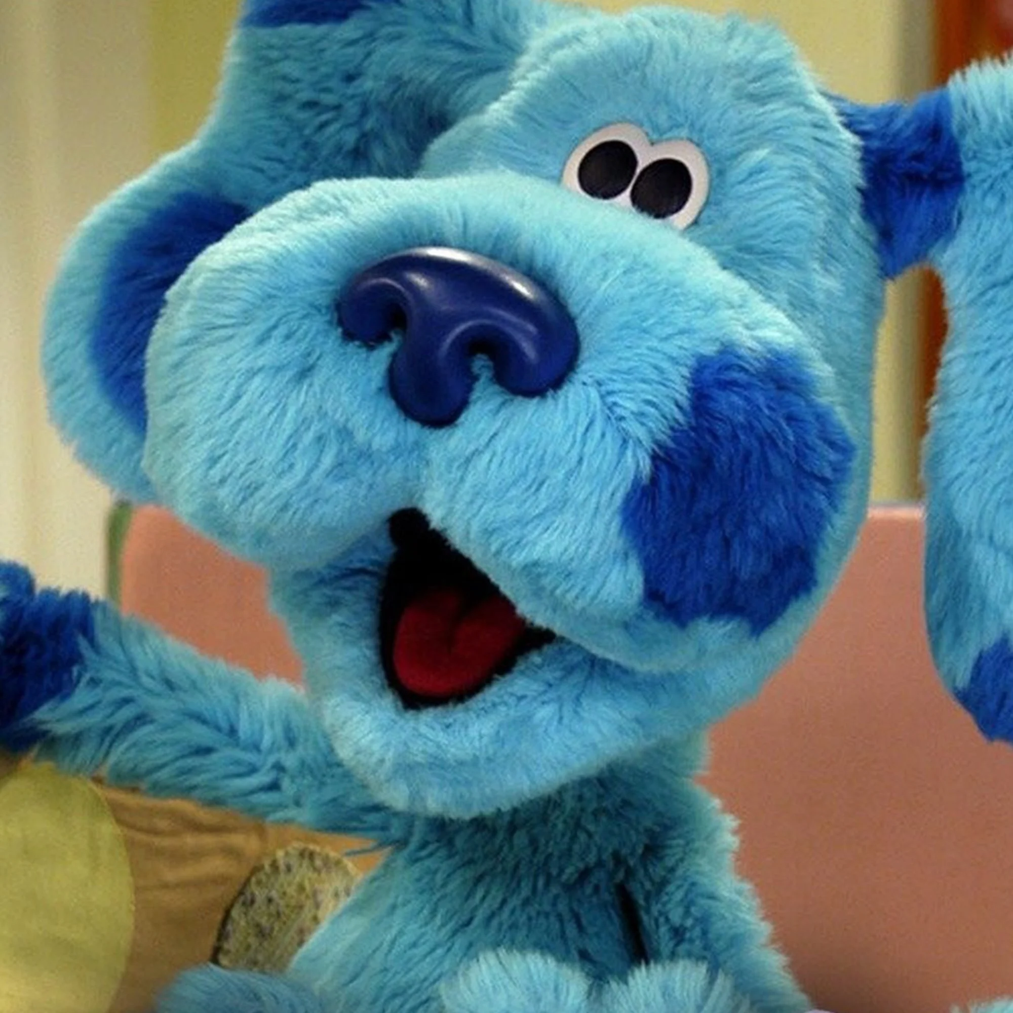 Blue's Room