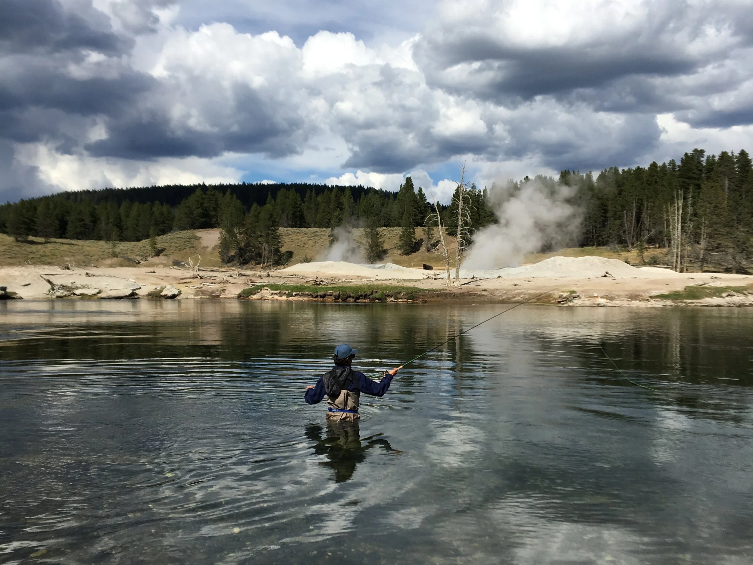 Pulling Trout in Yellowstone