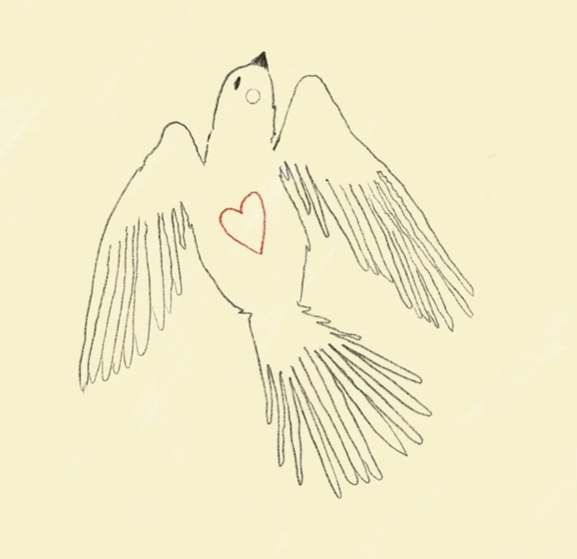 Drawing of a bird with outstretched wings, a heart on its chest.