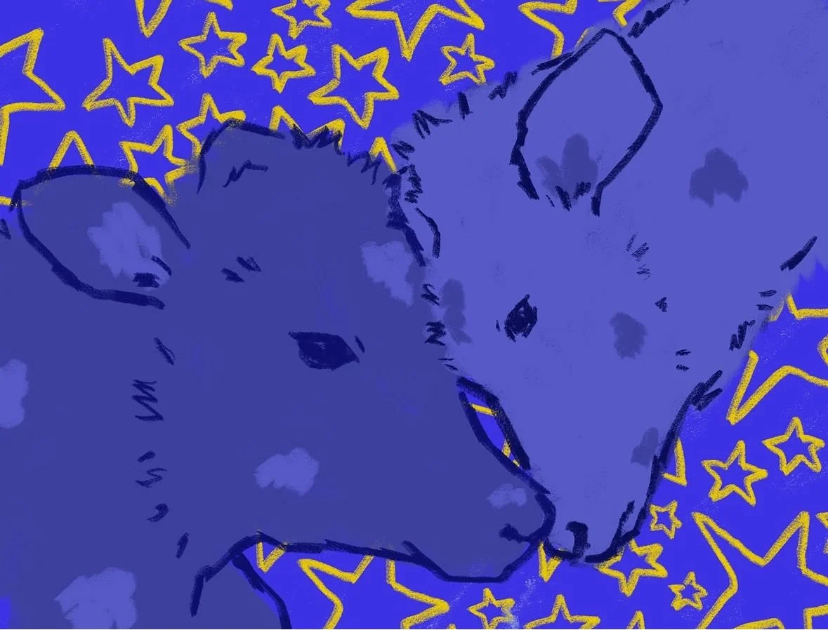 Illustration of two cows with spotted fur, snouts touching, surrounded by yellow outlined stars on a blue background.