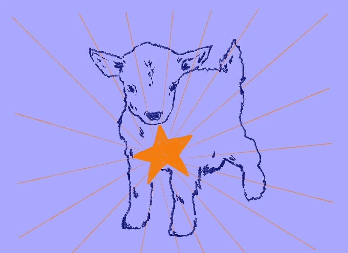 A sketch of a cute lamb with a star on its chest, colorful background with radiating lines.