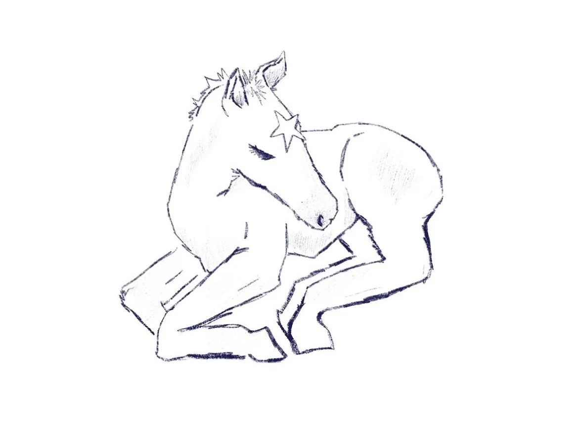 A line drawing of a foul with a star on its face, sitting with its head bowed and eyes closed.