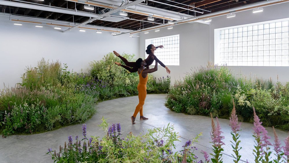 Growth and Decay: A Review of Andrew Skeels' "Meanwhile" at CARVALHO gallery (danceviewtimes, 2026)