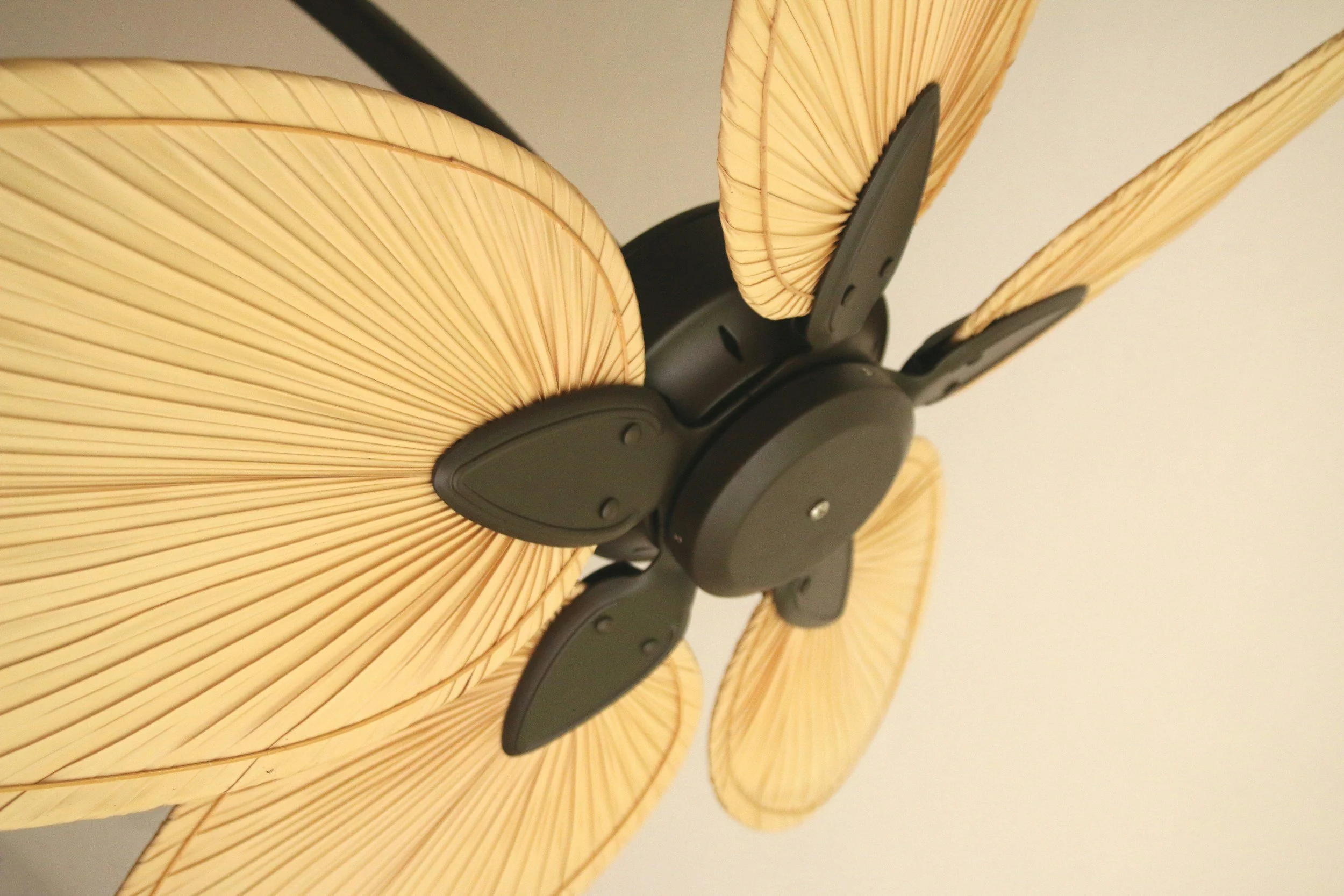 Close-up of a ceiling fan with wooden blades and a central black motor housing.