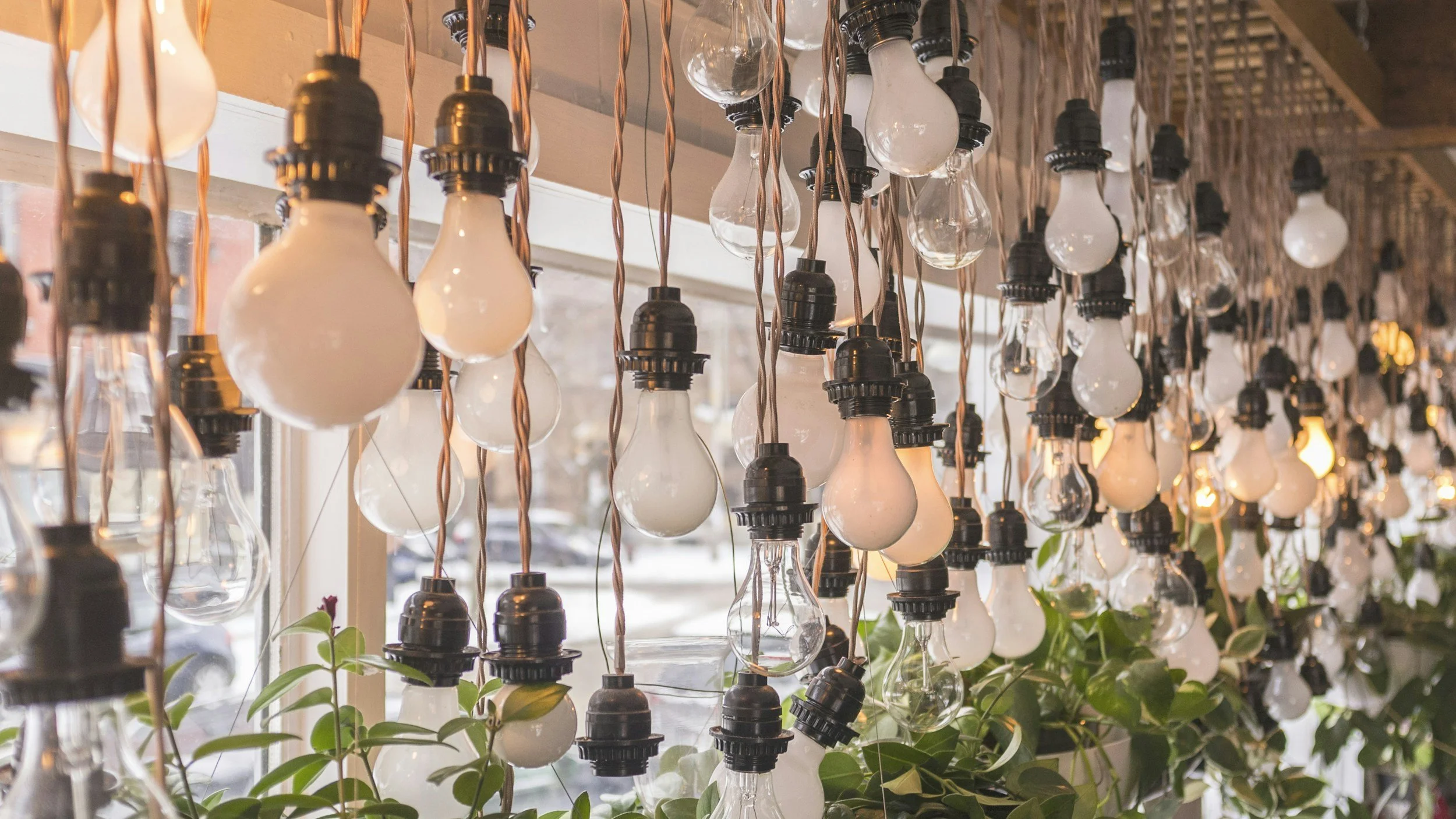 Multiple hanging light bulbs with black sockets and twisted cords, suspended in front of a window in a cozy indoor space.
