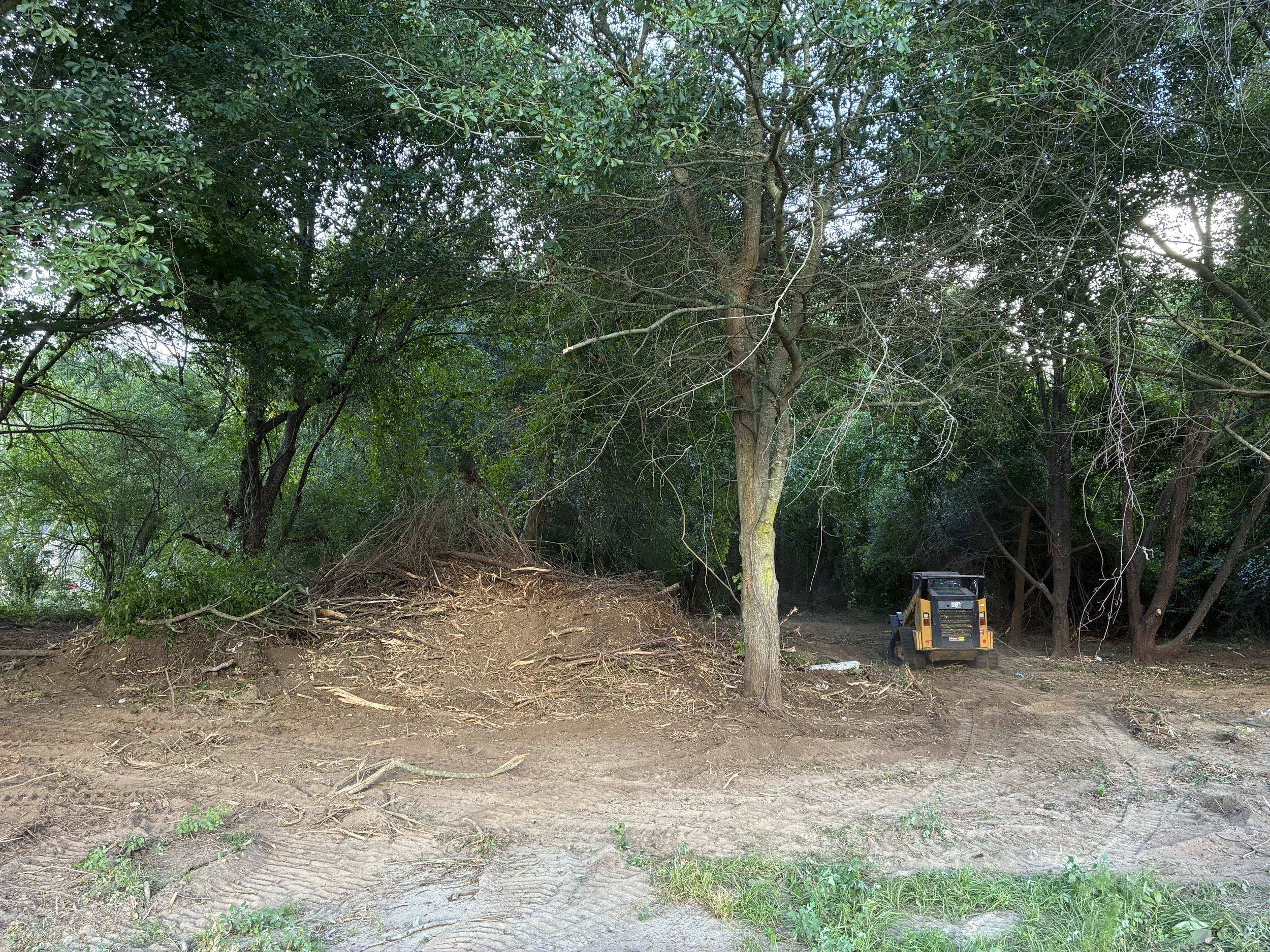 Tree and cleared ground area with a small yellow construction machine on the right.