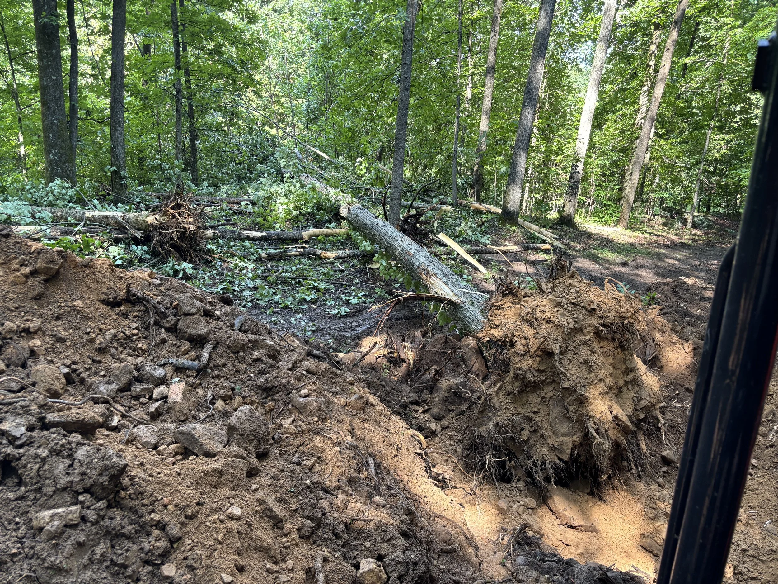 A dirt road or path in a green forest with fallen trees and branches, possibly after a storm or wind damage.