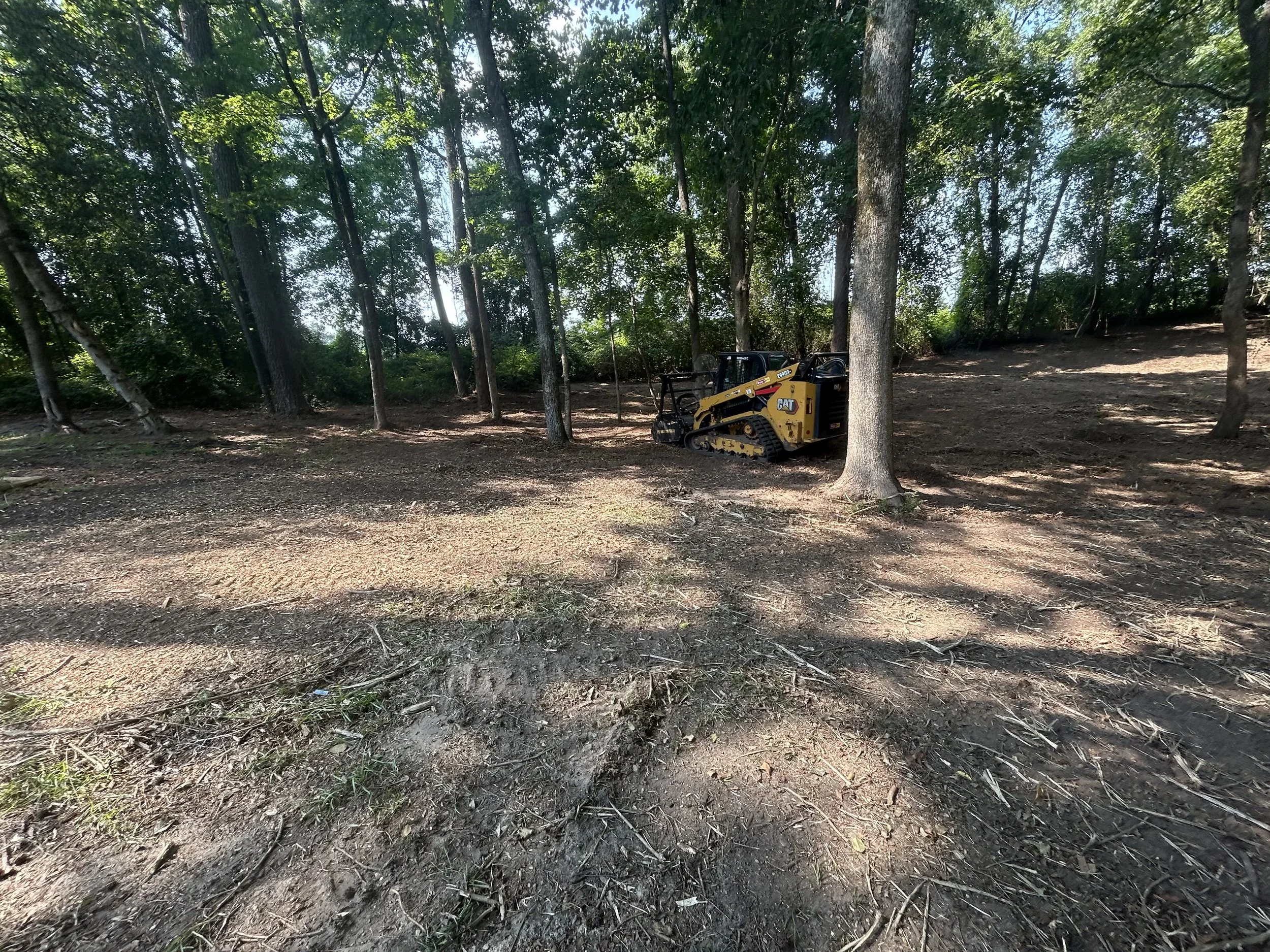 A small construction vehicle, a yellow compact track loader, is parked among trees in a forested area with dirt ground and sunlit patches through the leaves.