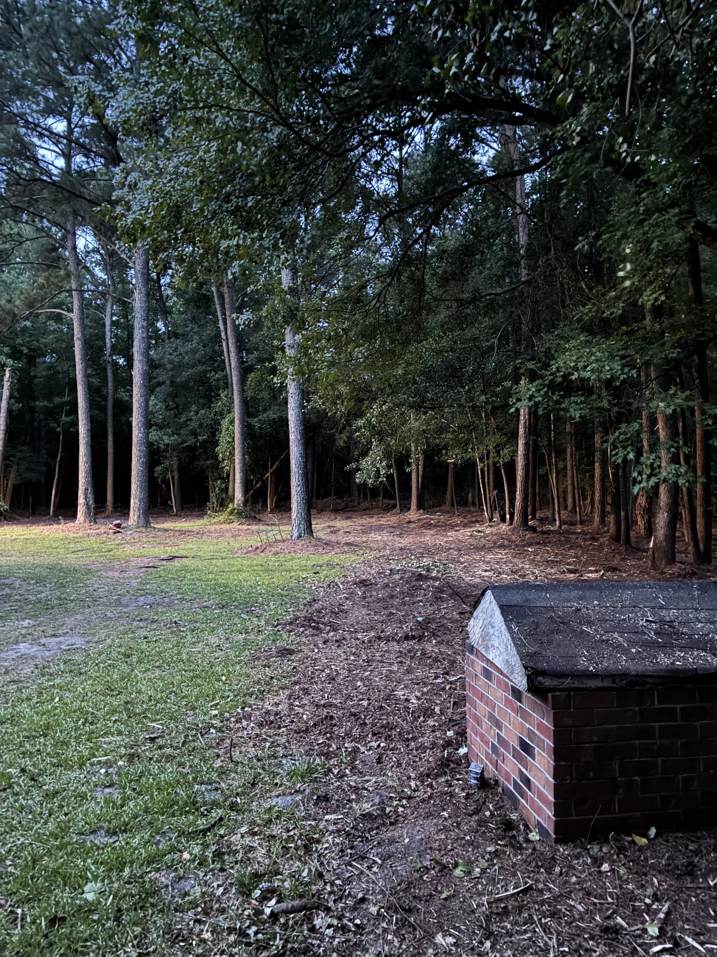 An outdoor scene in a wooded area with tall trees and green grass on the ground. There is a brick structure with a sloped roof in the lower right corner. The sky is visible through the trees, and the ground has patches of dirt and fallen leaves.