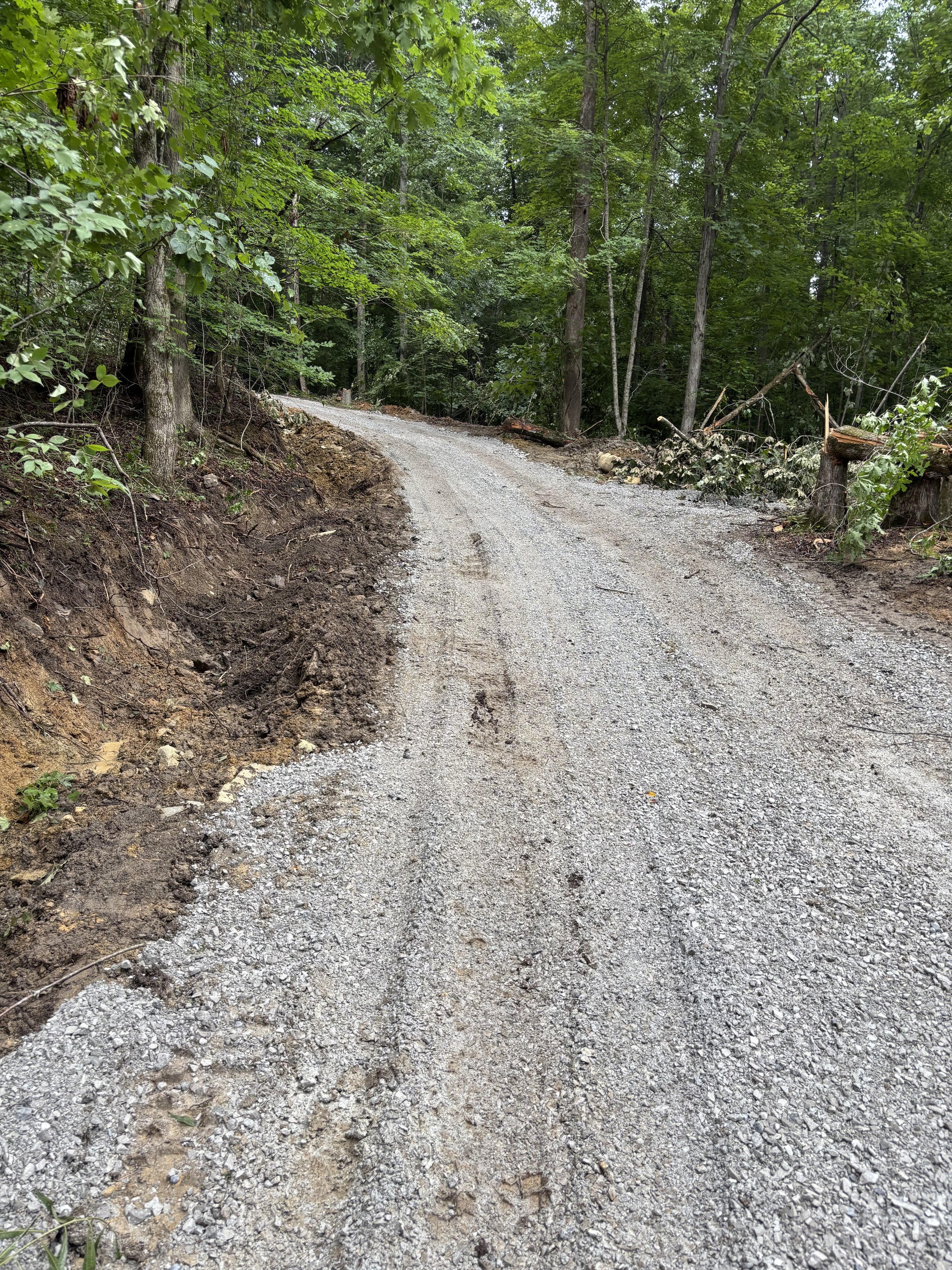 A dirt and gravel road winding through a dense forest with green foliage and trees.