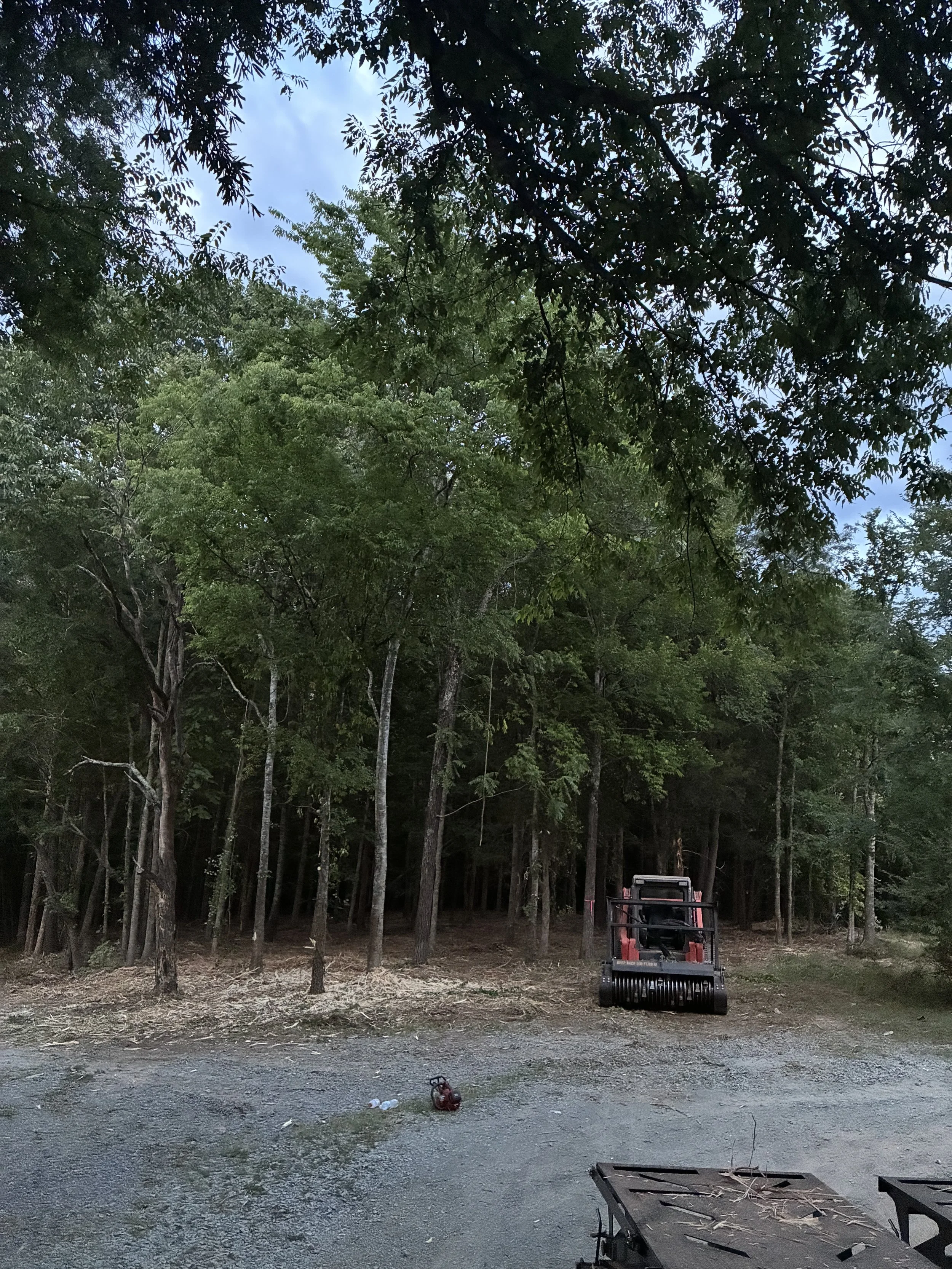 A construction site in a forested area with a red and black mini-excavator on the dirt, trees surrounding the area, and some construction debris on the ground.