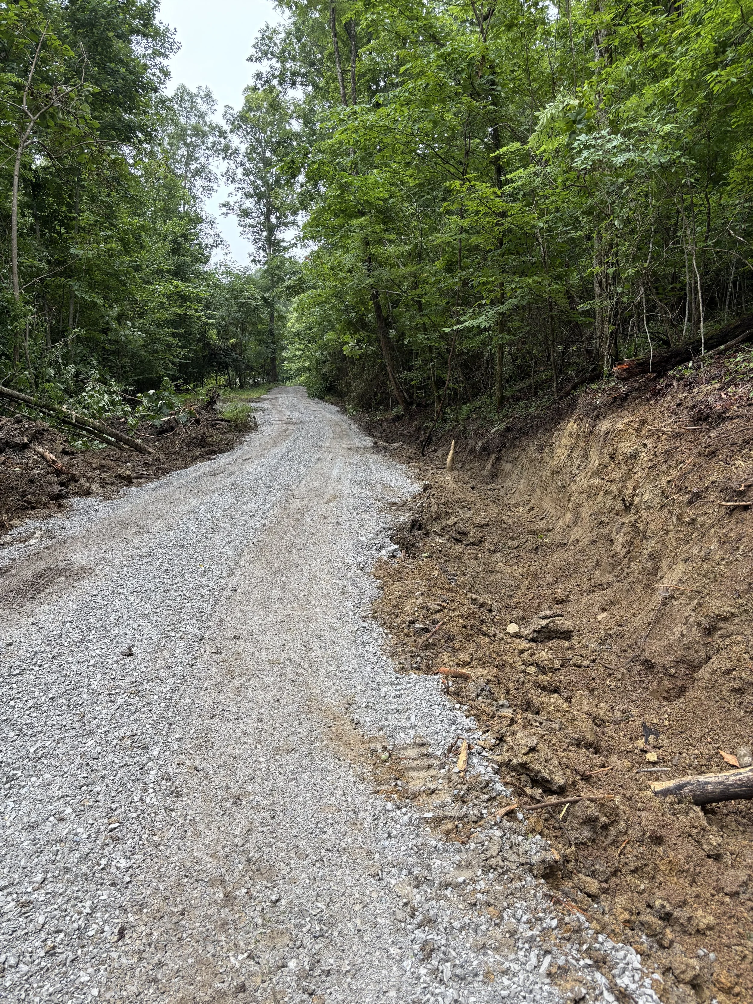 A gravel dirt road winding through a dense green forest, with trees on both sides and some exposed soil on the right side of the road.