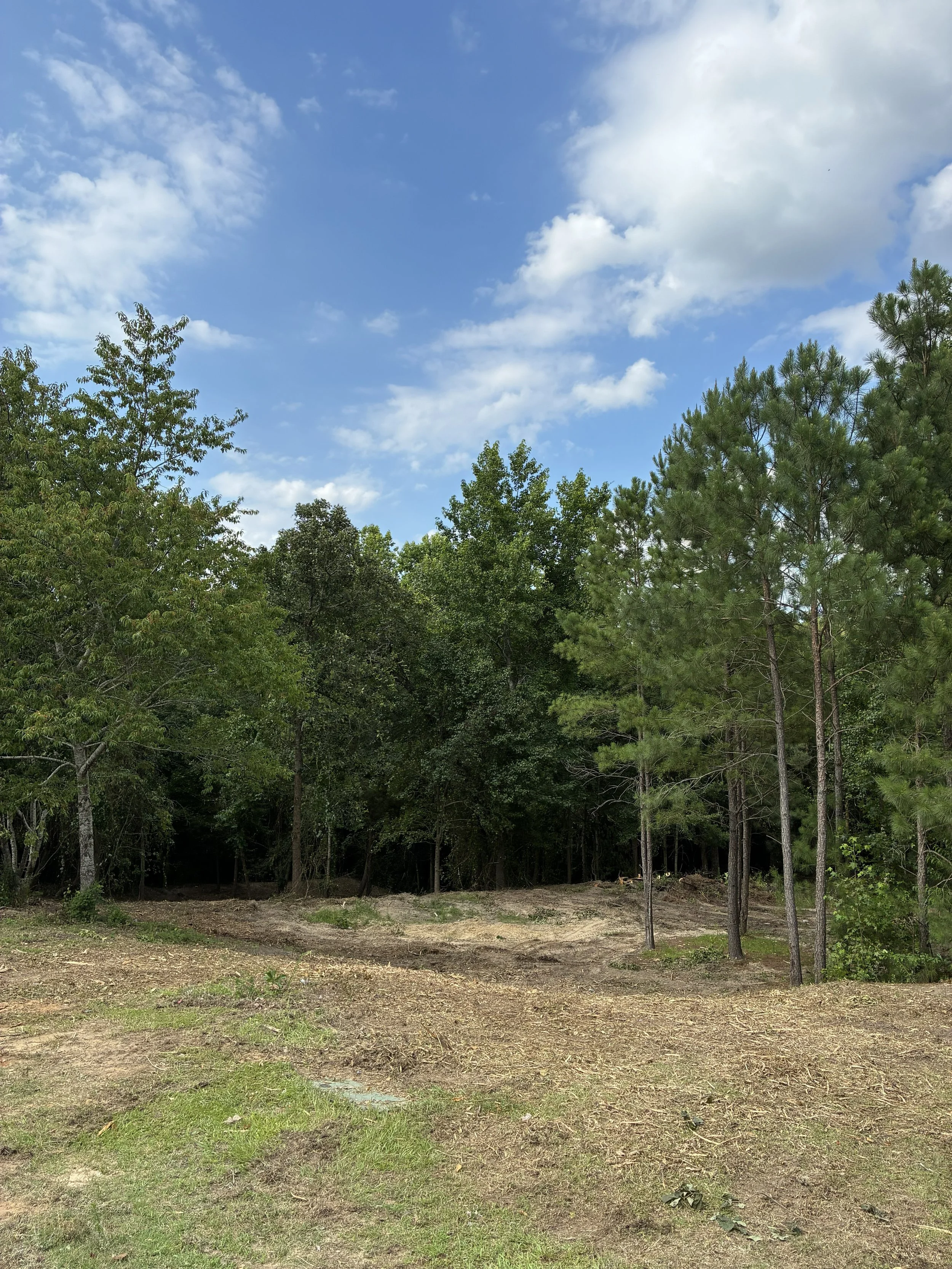 A clear sky with some clouds over a wooded area with various trees and a dirt ground.