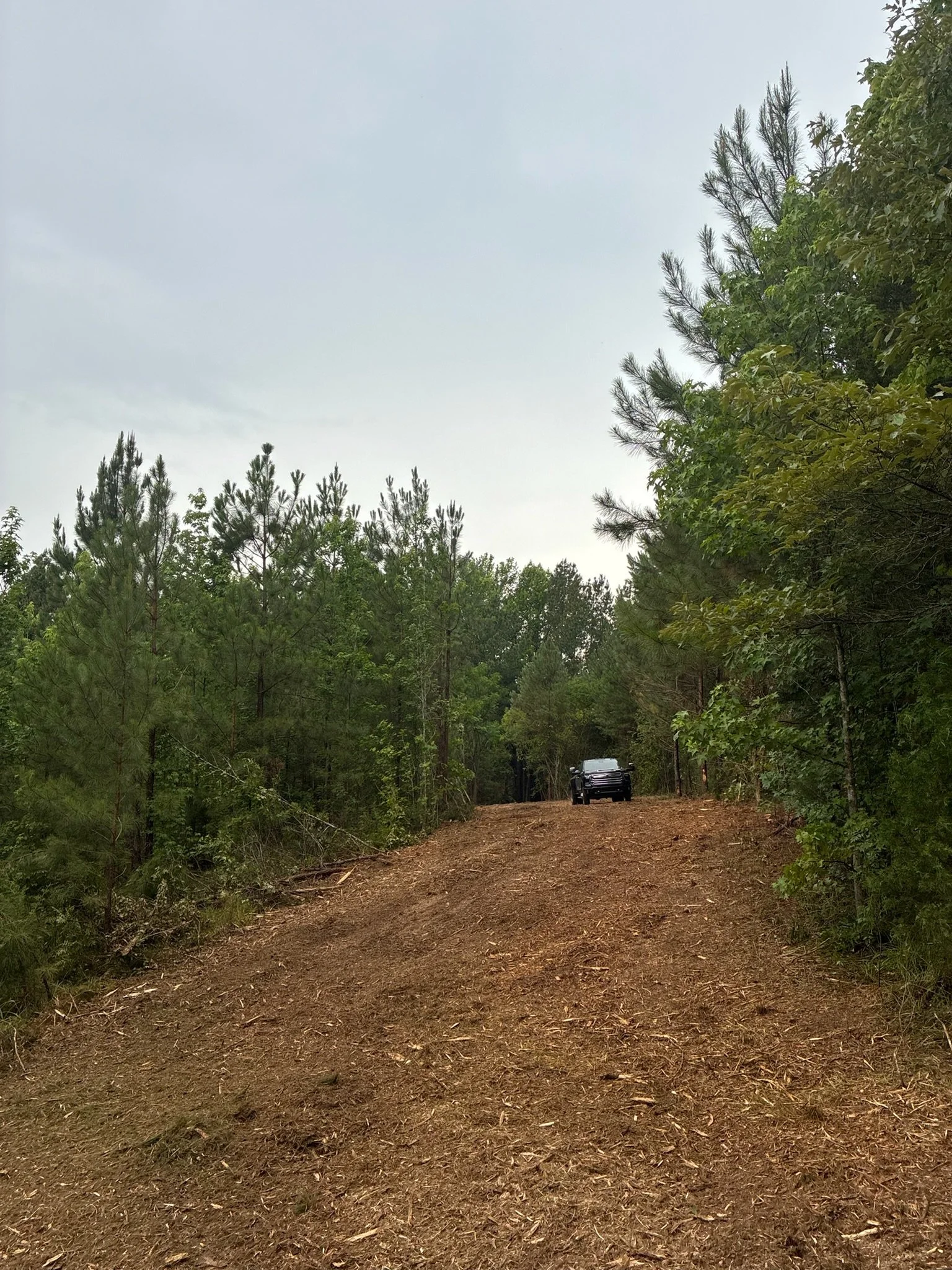 A dirt trail in a forest with green trees on both sides and a vehicle in the distance under an overcast sky.