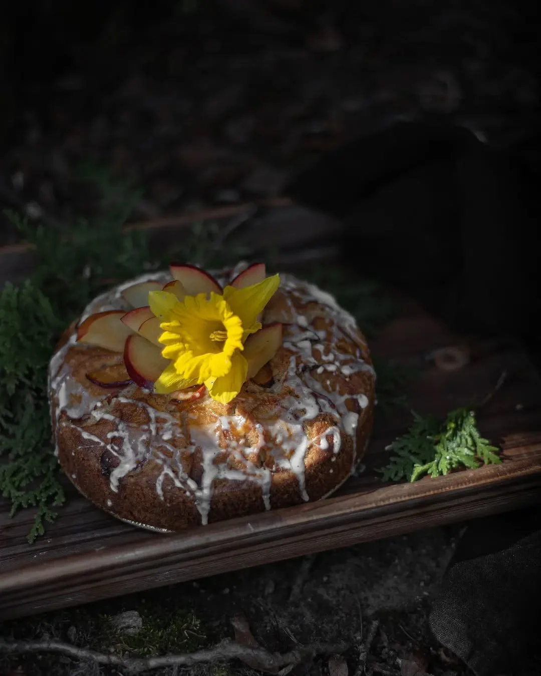 March 23rd marks 17 years since we lost my dad. This simple yet rich Croatian plum cake topped with a springtime daffodil sits beneath the tallest tree in our garden.

"Be humble, for you are made of earth, be noble, for you are made of stars.&q