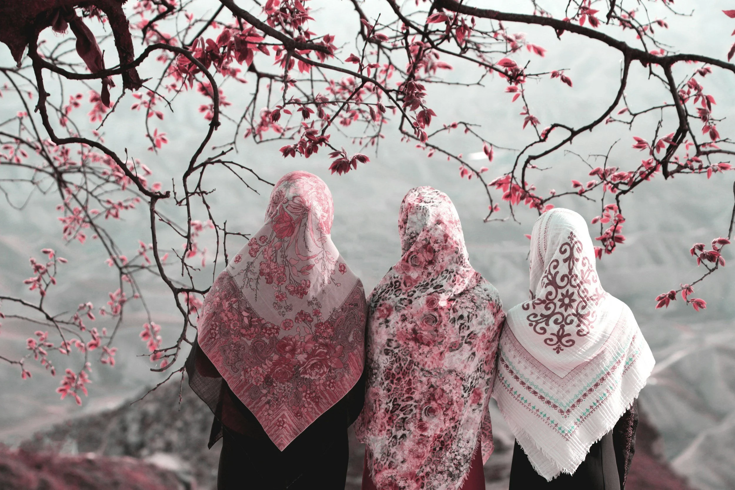 Three women wearing patterned headscarves stand outdoors under pink blooming tree branches, with water in the background.