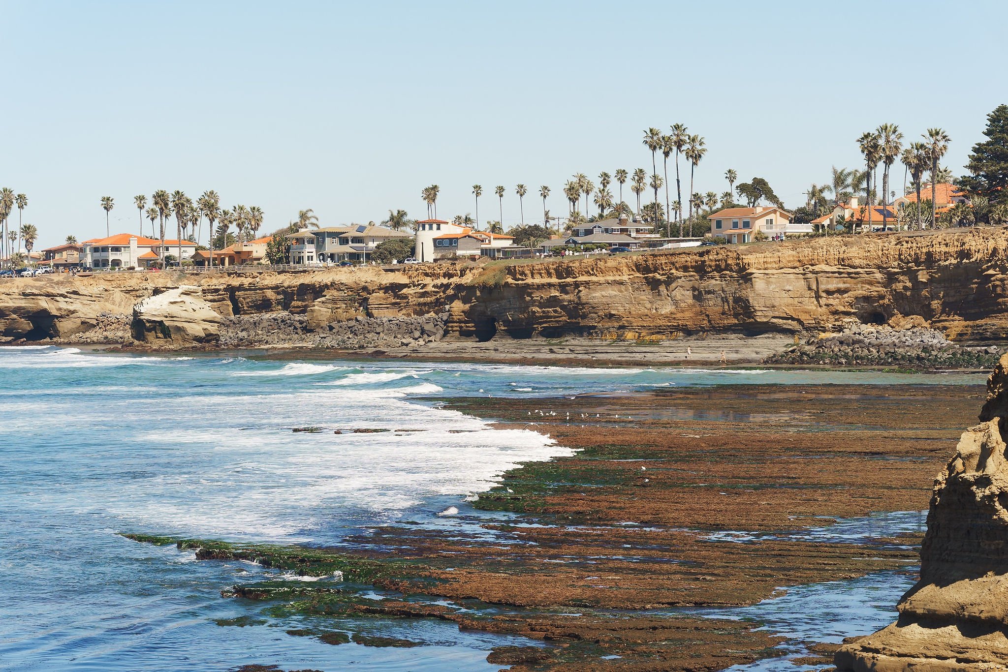 A coastal scene with ocean waves crashing against rocky shoreline, and houses on cliffs lined with tall palm trees in the background.