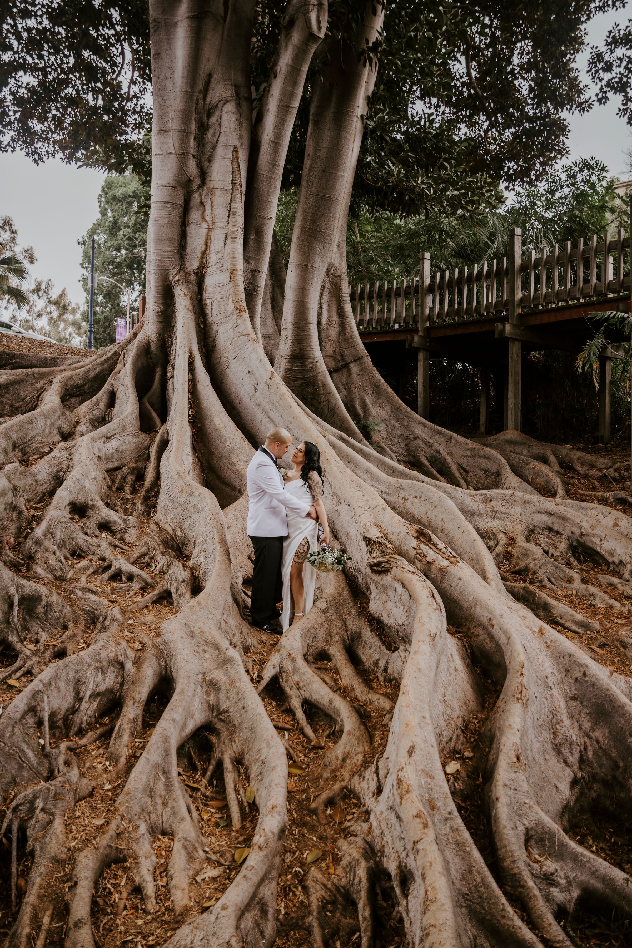 A couple in wedding attire standing beneath a large tree with sprawling roots, holding hands and looking at each other, in an outdoor setting with a wooden bridge and greenery in the background.