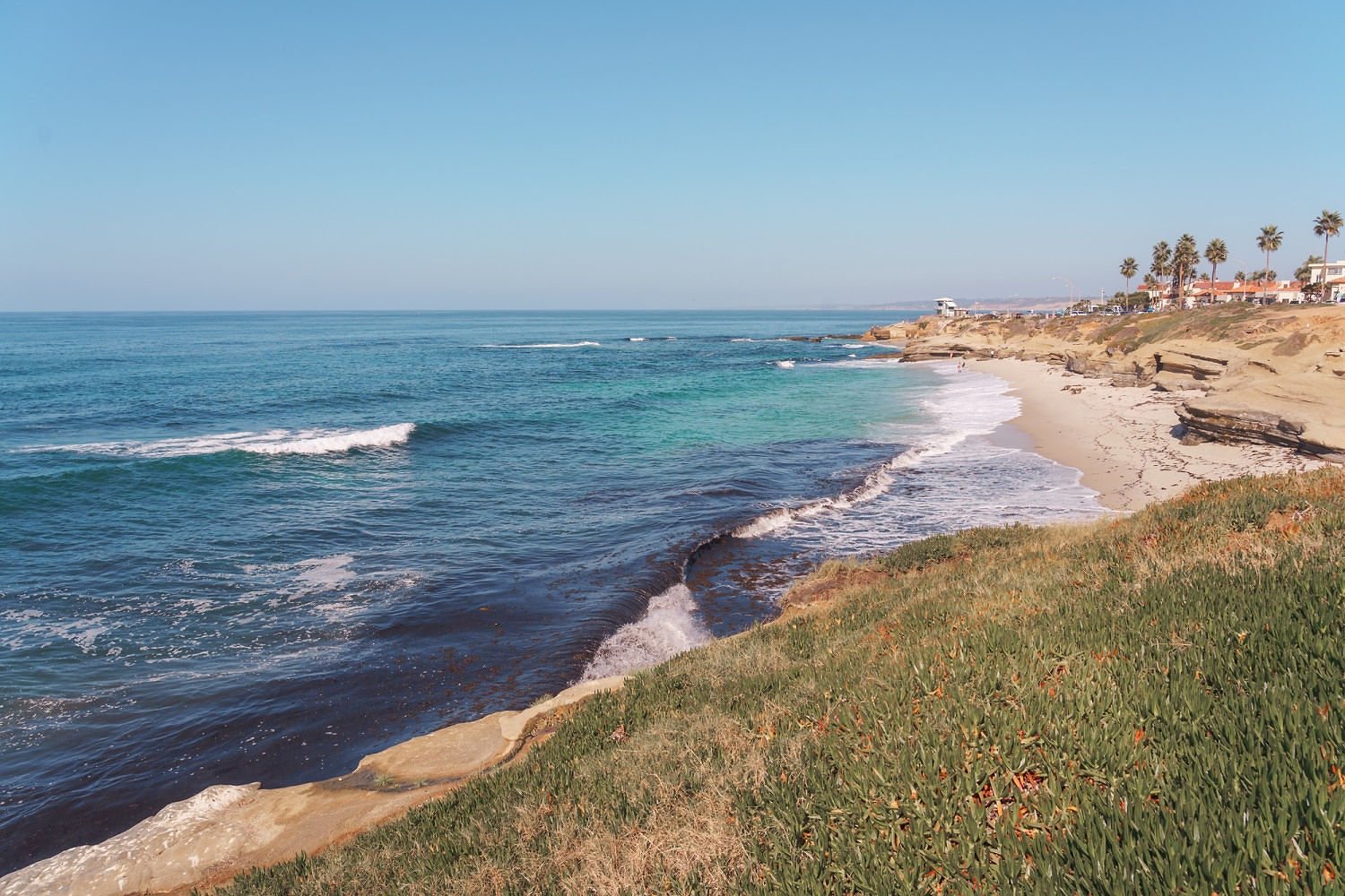 A coastal scene with blue ocean waves crashing onto a sandy beach, bordered by rocky cliffs and green grass, with palm trees and buildings visible in the background.