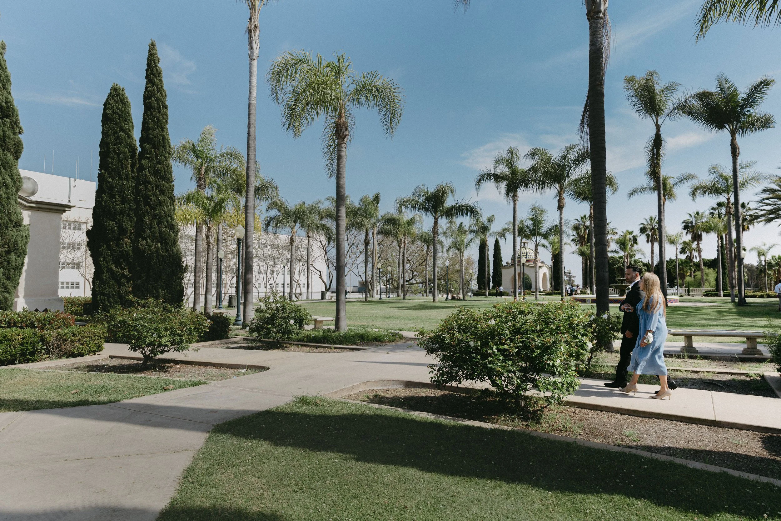 A park with tall palm trees, young cypress trees, and well-manicured grass, with a pathway and a couple walking together.