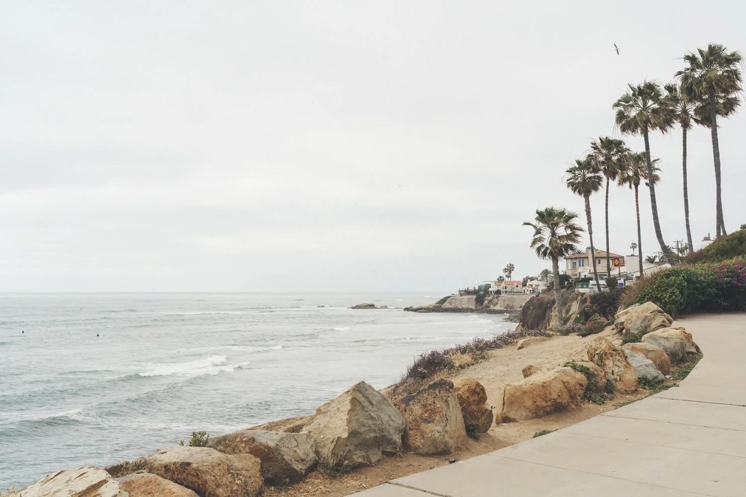 Overcast beach scene with waves, large rocks, palm trees, and houses along the shoreline