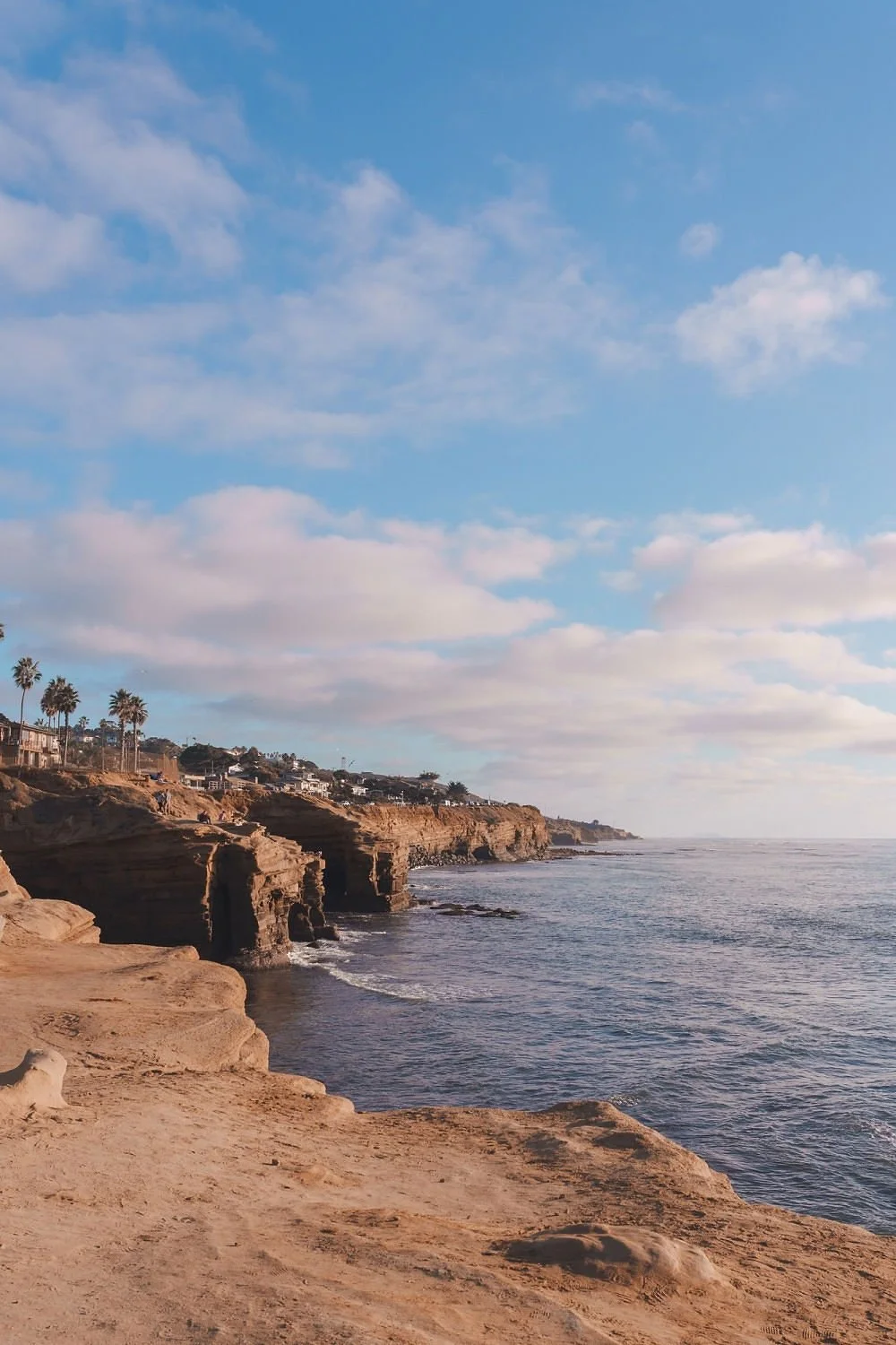 Coastal cliffs with houses and palm trees overlooking the ocean, under a partly cloudy sky during daytime.