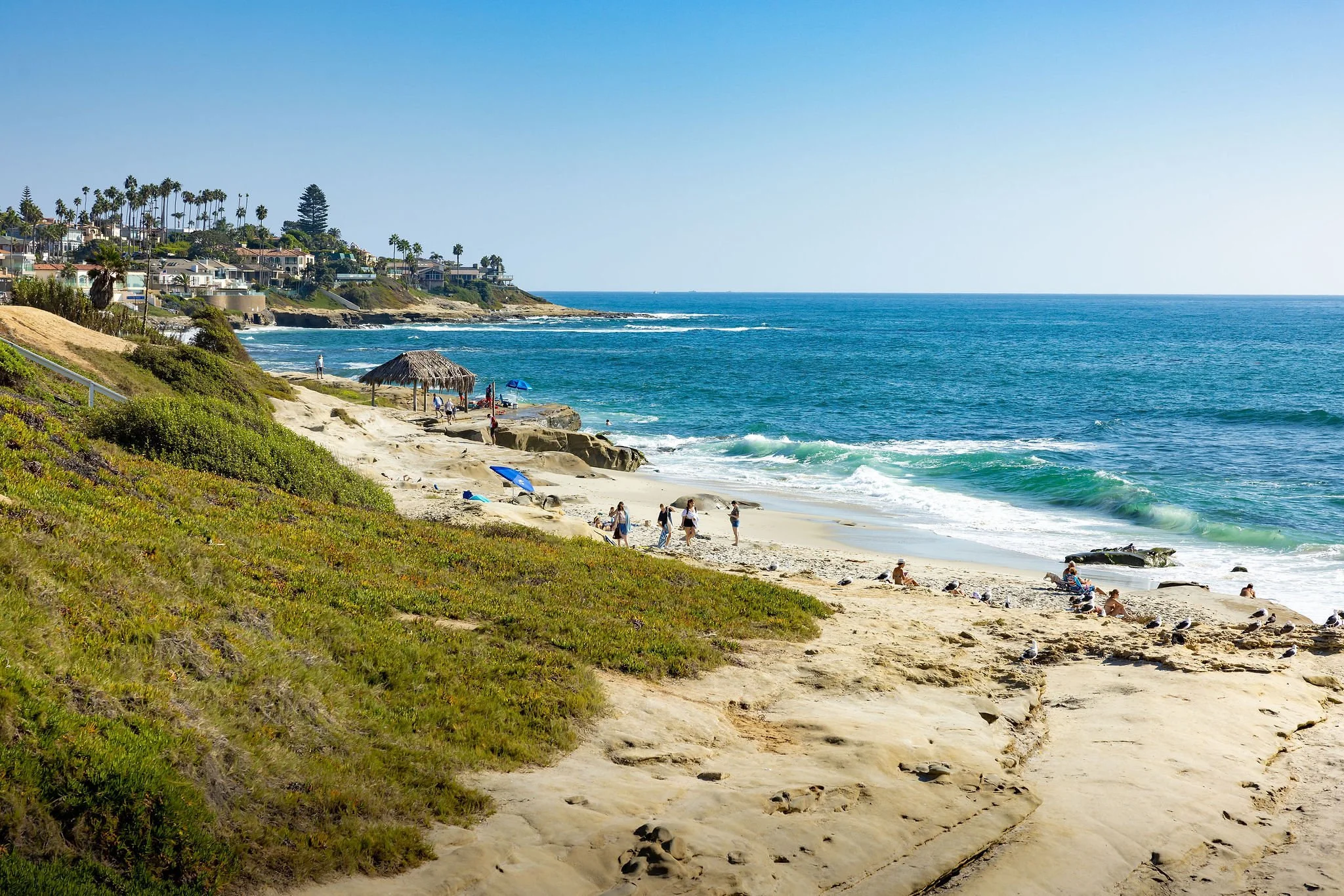 A coastal scene with a sandy beach, ocean waves, and a hillside with houses and palm trees. There are people on the beach and under a thatched umbrella.