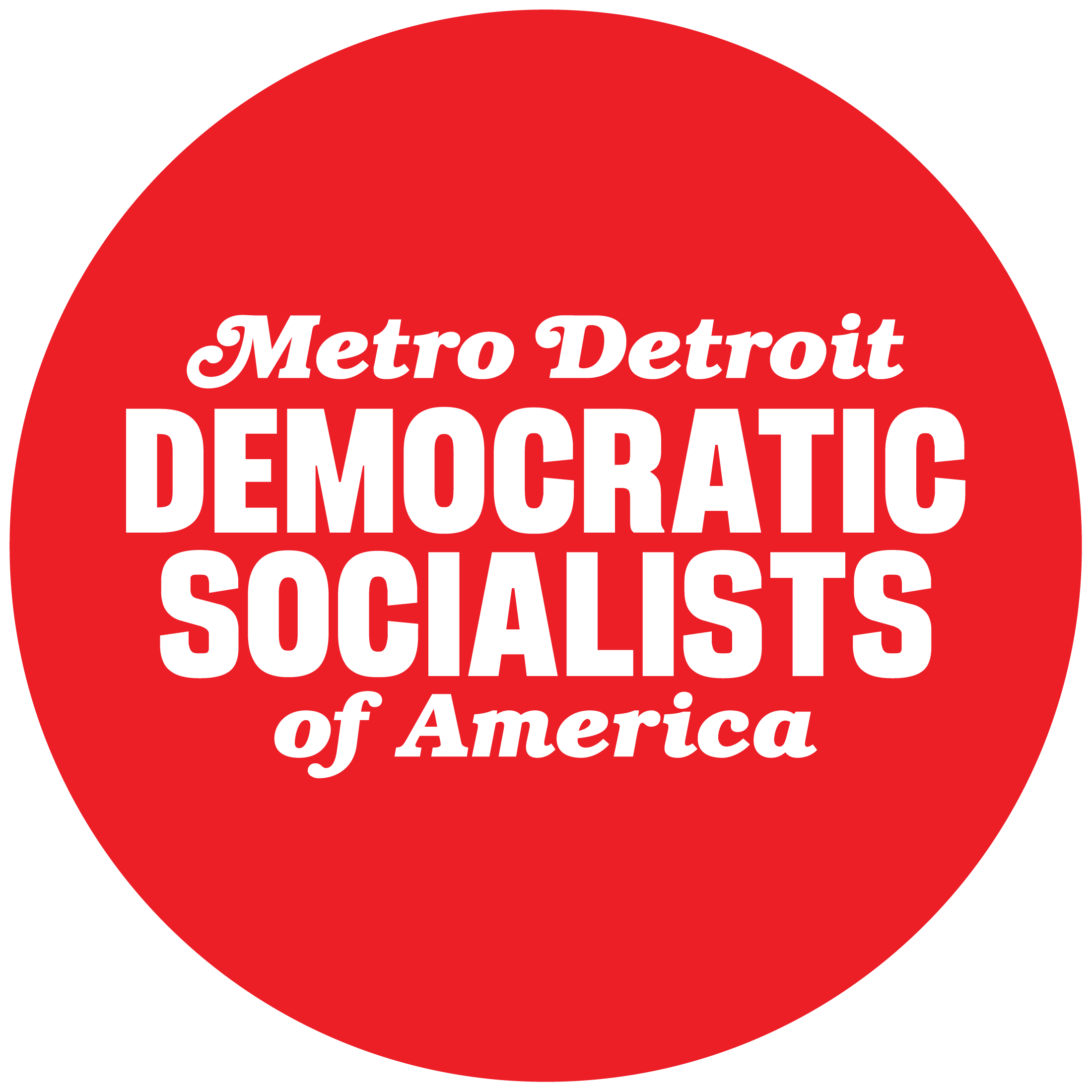 Metro Detroit DSA word mark
