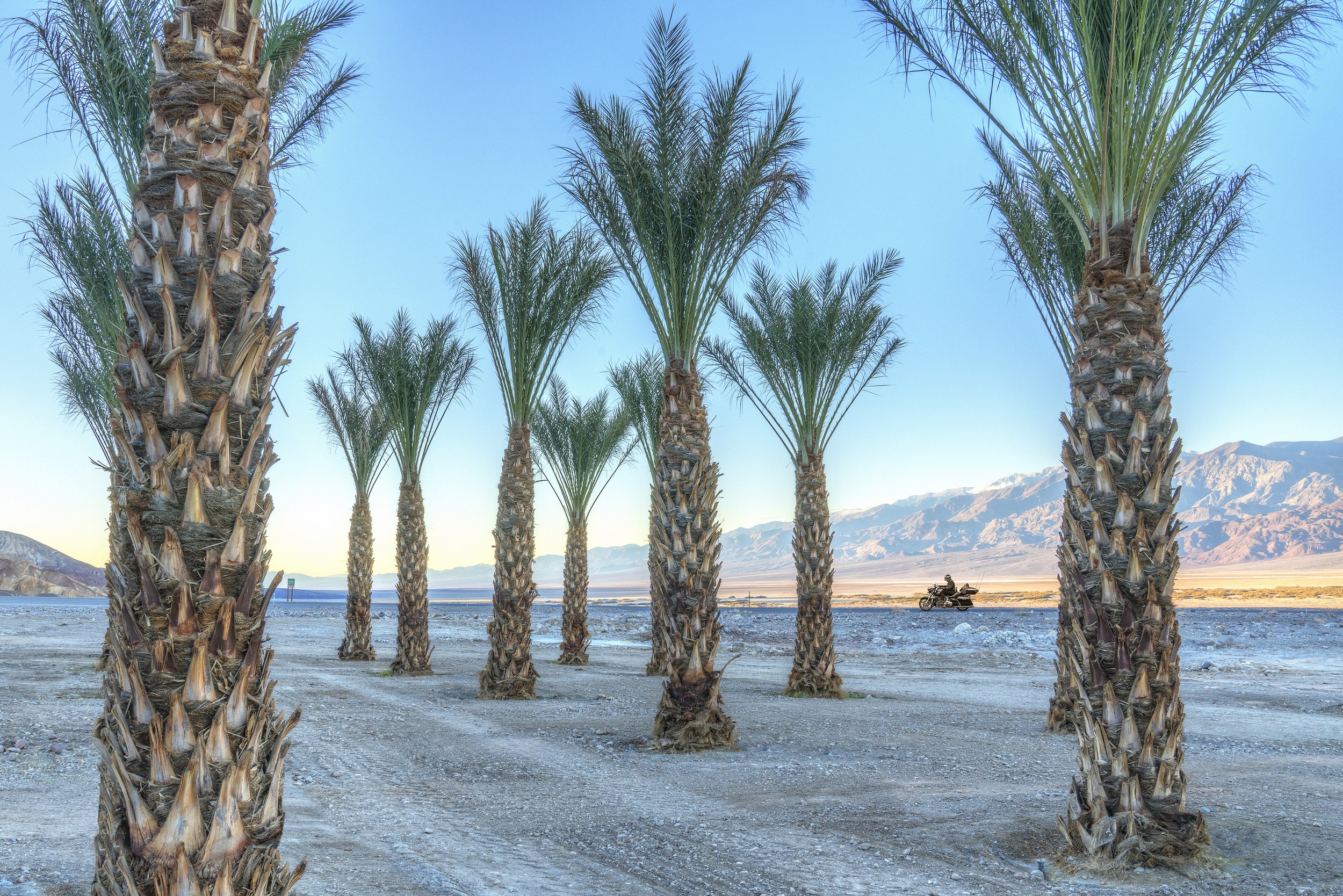 Easy Rider  Death Valley USA - 12.03082.jpg