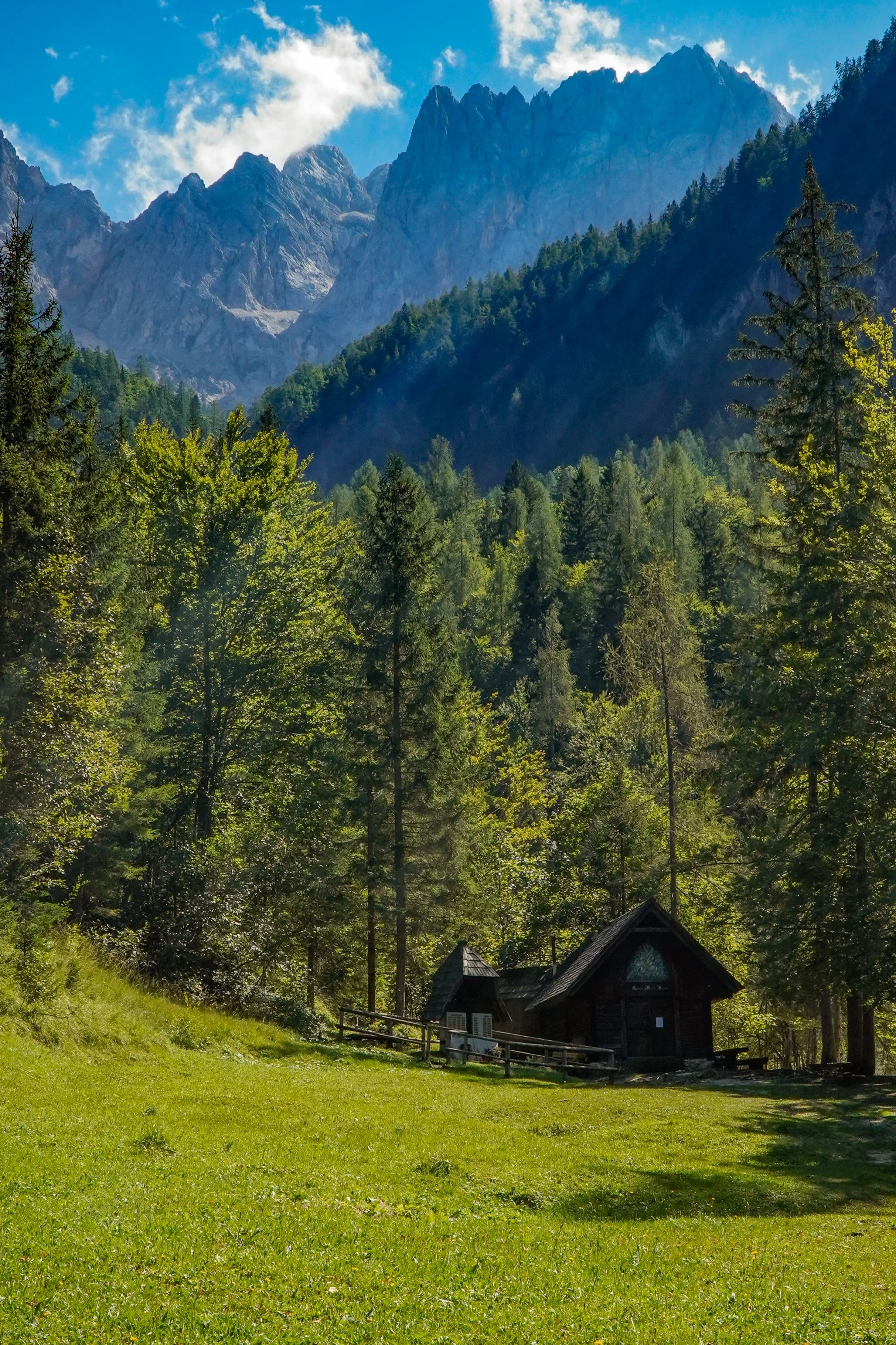 A mountain landscape with rugged peaks in the background, dense green forest covering the slopes, and a small wooden house with a sloped roof and a fenced yard in the foreground.