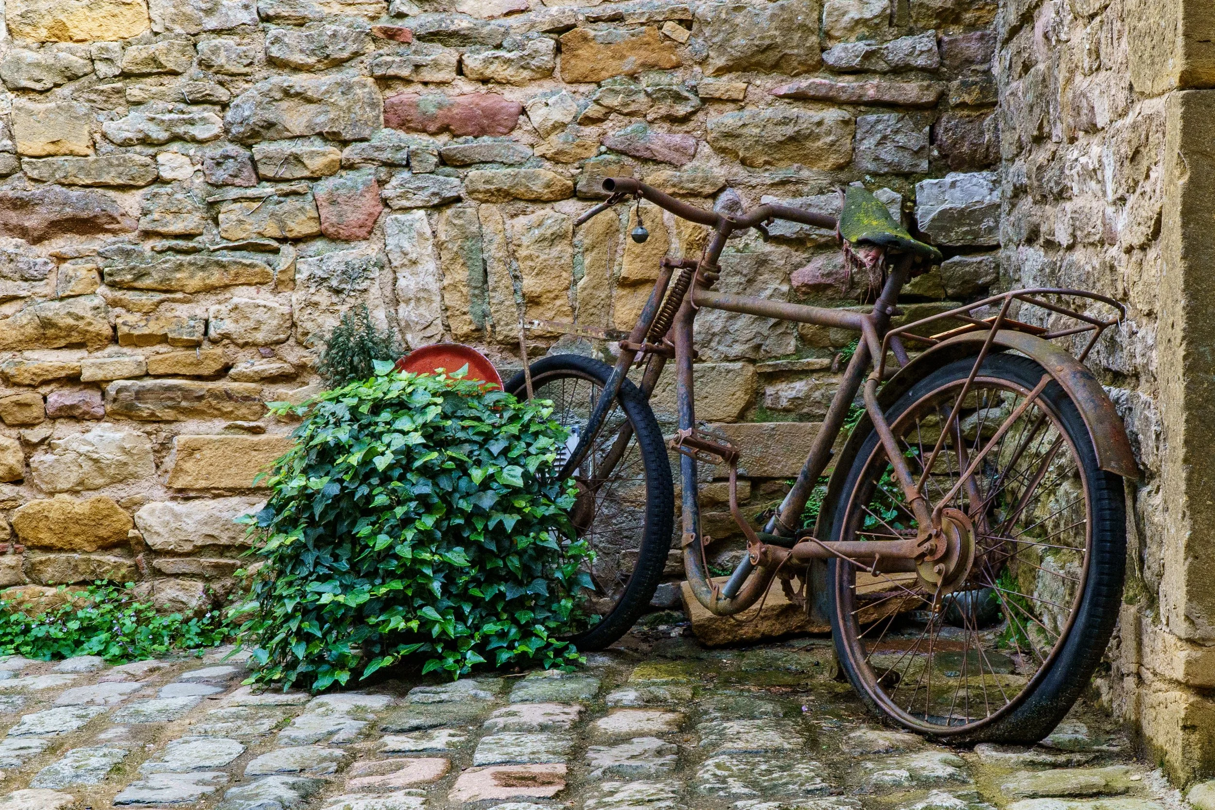 An old, rusted bicycle leaning against a stone wall. There is green ivy and a potted plant with purple flowers in front of the bicycle. The ground is cobblestone.