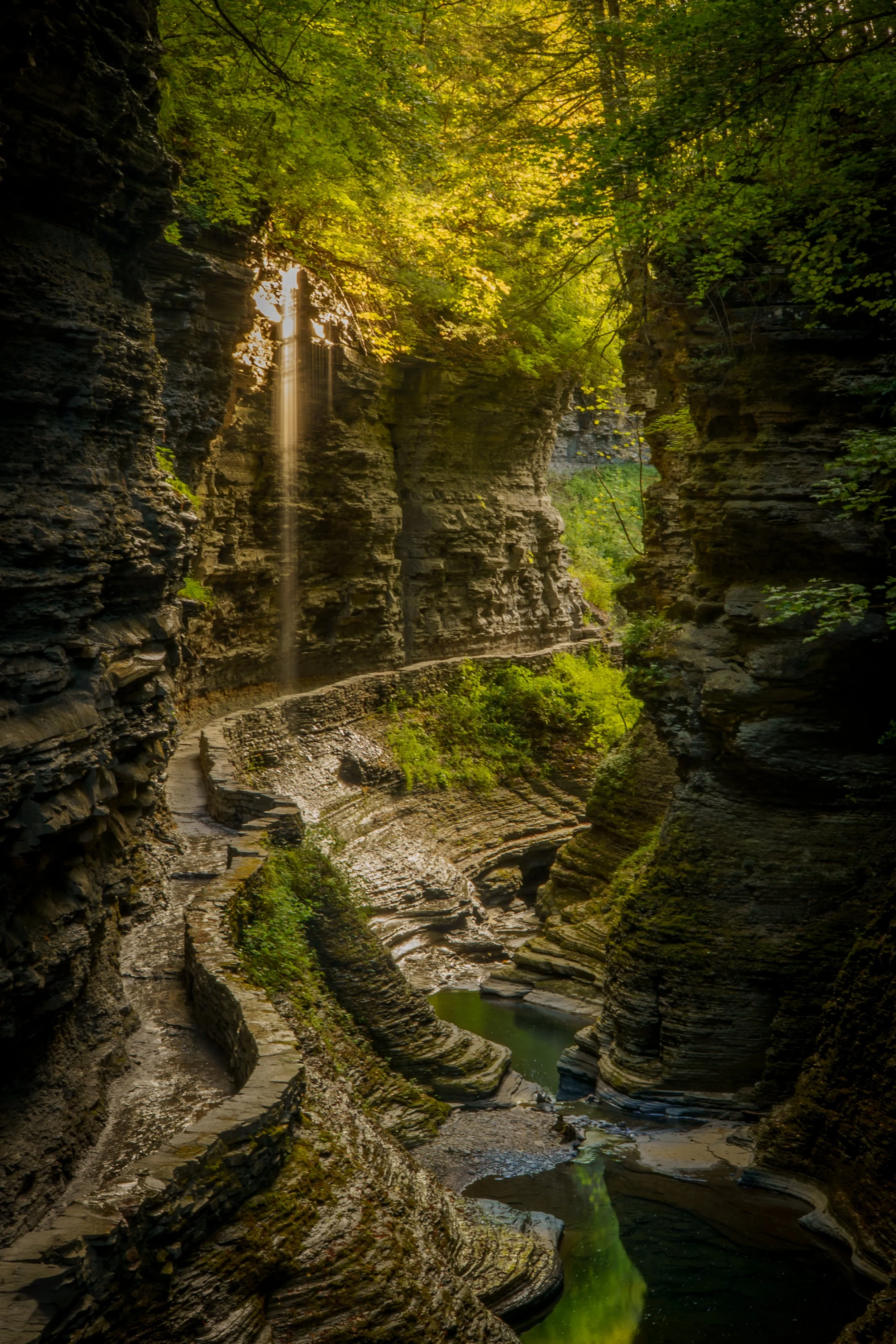 A narrow canyon with rock walls covered in green moss and grass, featuring a small waterfall from above, sunlight filtering through trees at the top, and a stream winding through the canyon.