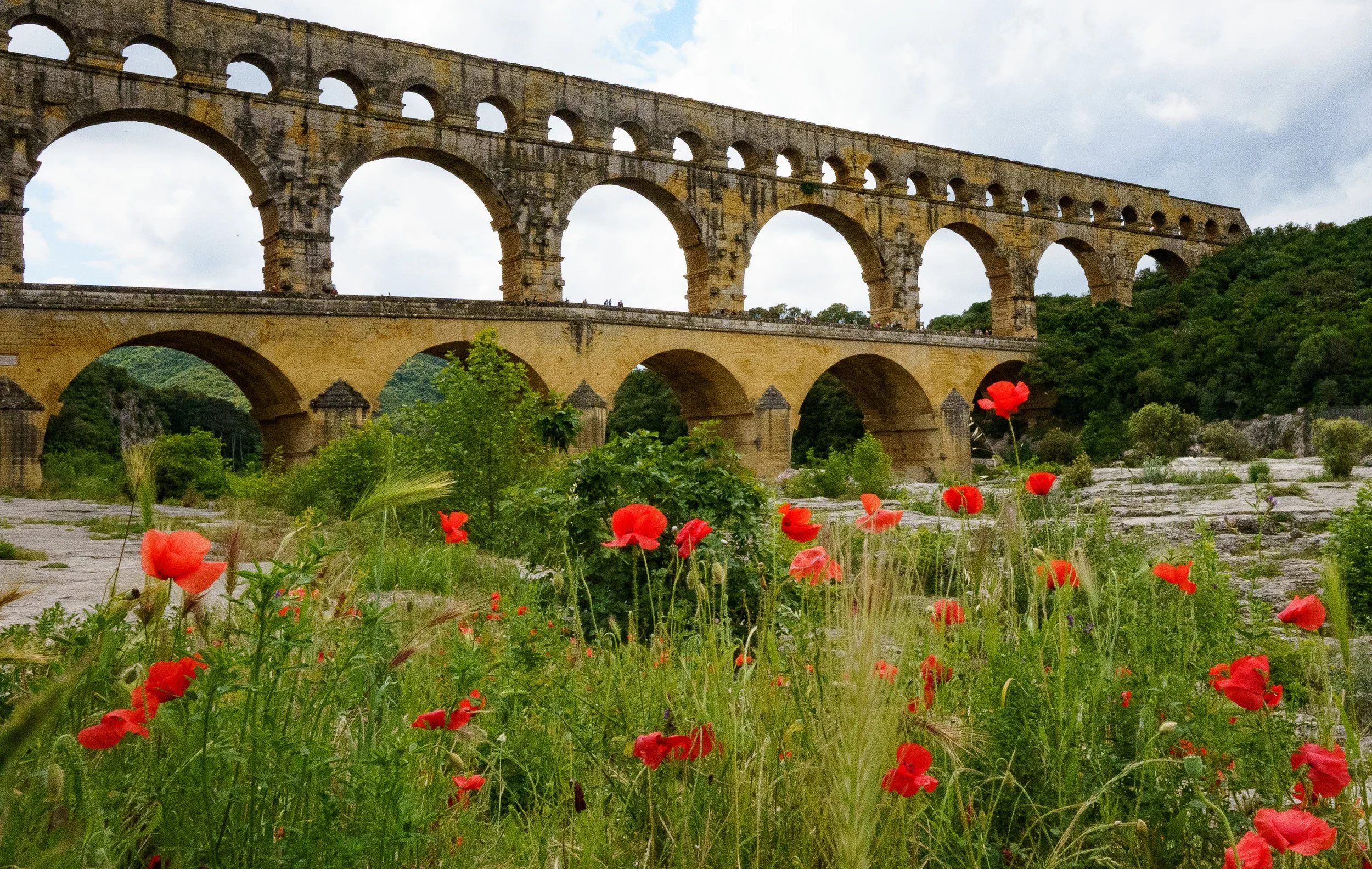 The image shows a large historic stone aqueduct with multiple arches extending across a lush, green landscape. In the foreground, there are red poppies and other wildflowers, with a cloudy sky overhead.