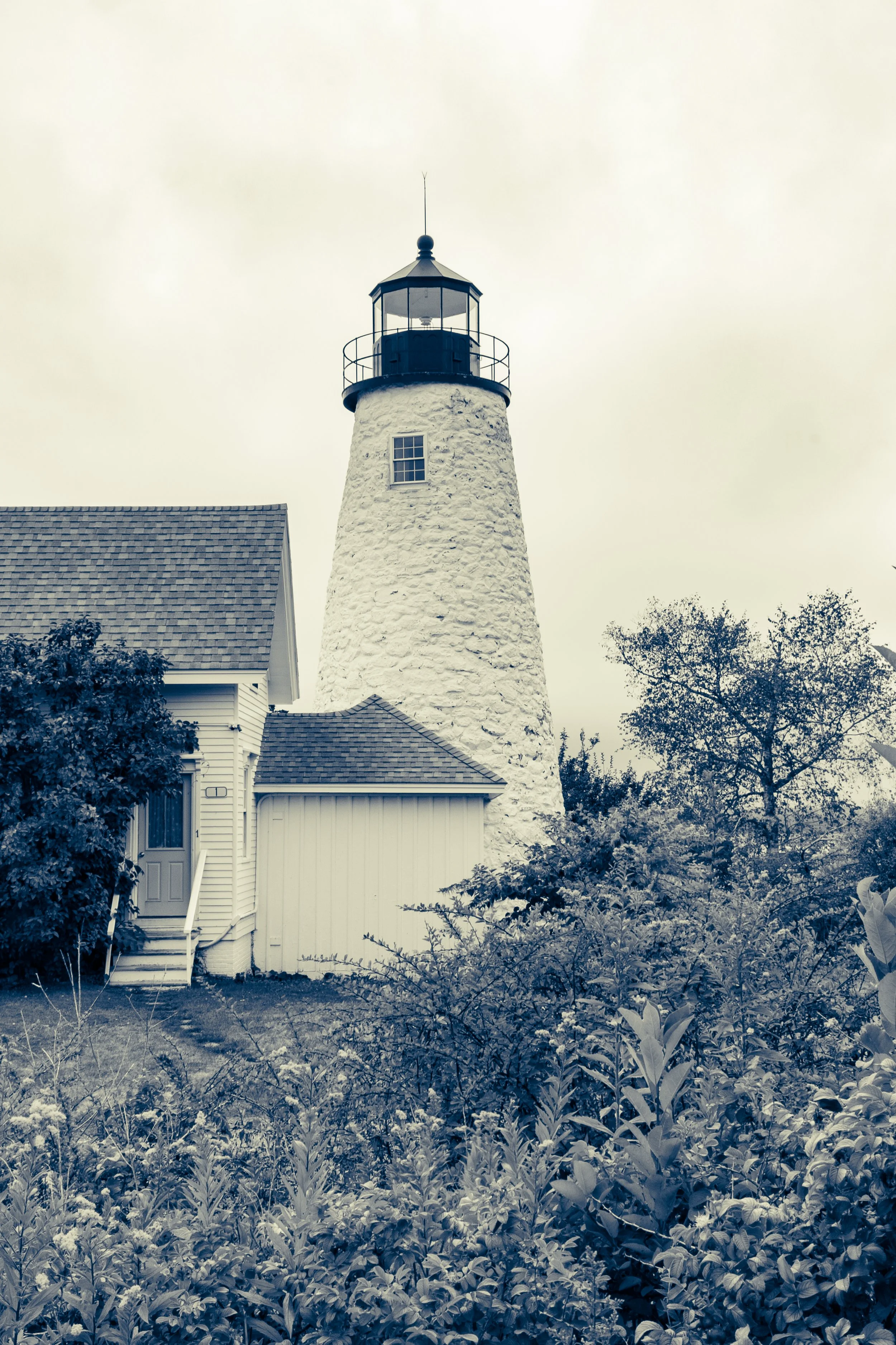 A lighthouse with a white, textured exterior, a black balcony, and a black top with a glass enclosure. Surrounding the lighthouse are trees, shrubs, and a building with a pitched roof, under an overcast sky.