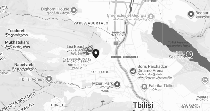 The Guivy Zaldastanishvili American Academy in Tbilisi