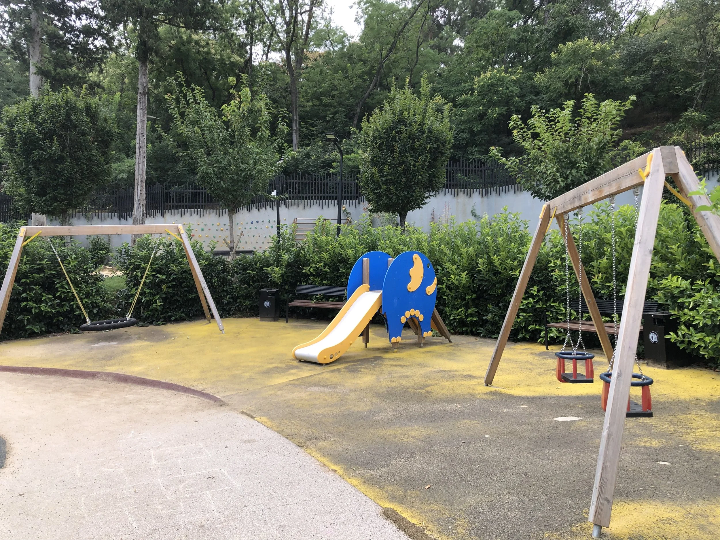 IMG_0916.jpeg