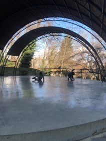 amphitheater-mziuri-park.png