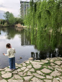 mziuri-park-duck-pond-2.png