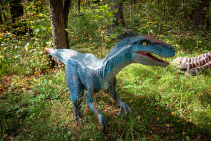 A realistic model of a theropod dinosaur, possibly a Velociraptor, standing in a forest with green foliage and trees.