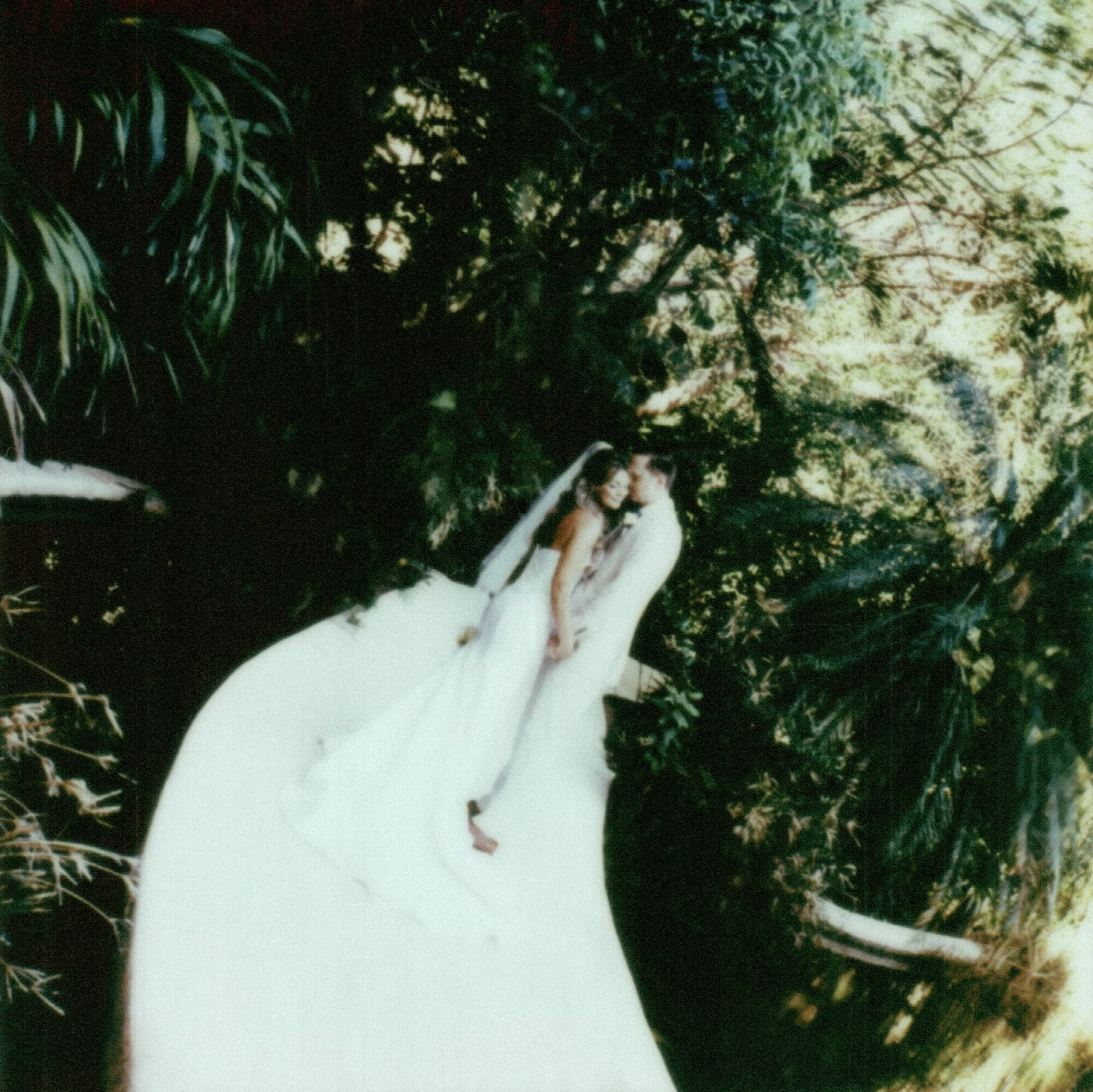 A bride and groom standing outdoors among plants and trees, with the bride holding a bouquet of flowers and wearing a white wedding dress.
