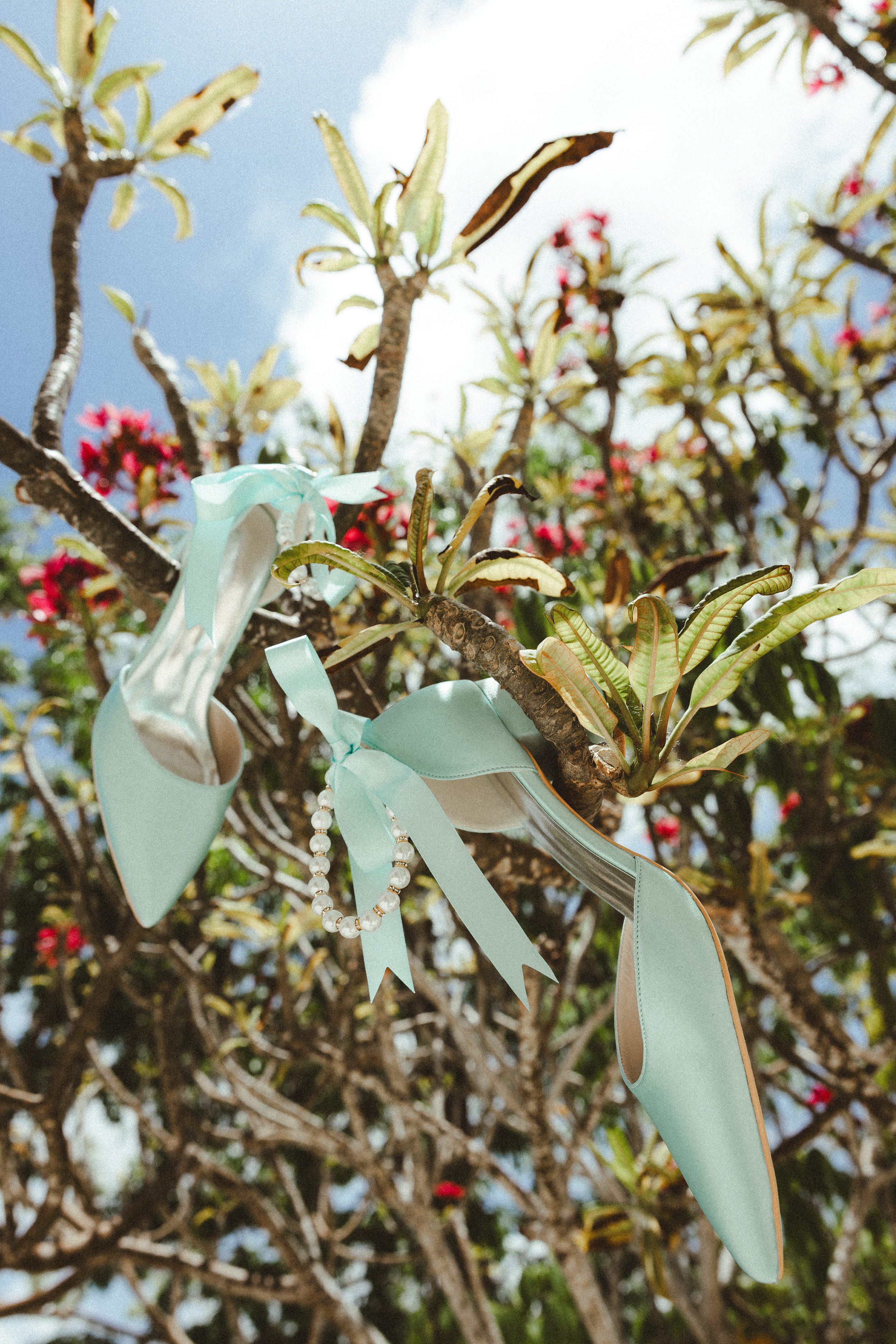 Decorative ribbons, pearl necklace, and greenery tied to a tree branch, with sunlight and blue sky in the background.