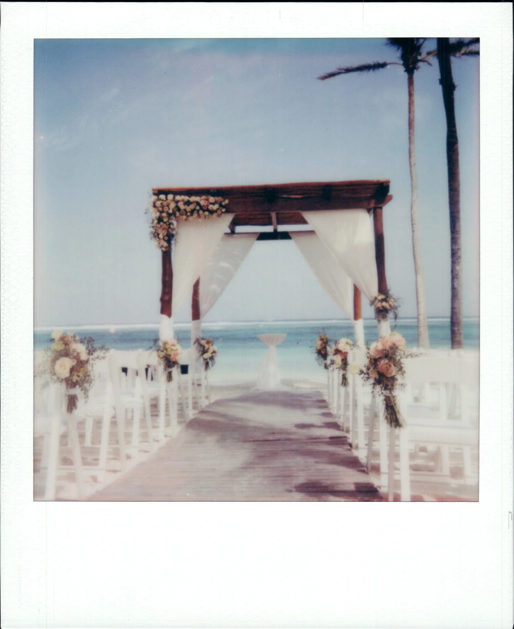A wedding altar decorated with white flowers and two tall palm trees at a beachside location.