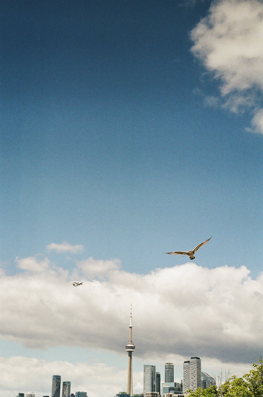 A city skyline with a tall tower, a seagull, and a small airplane flying in the sky over clouds.